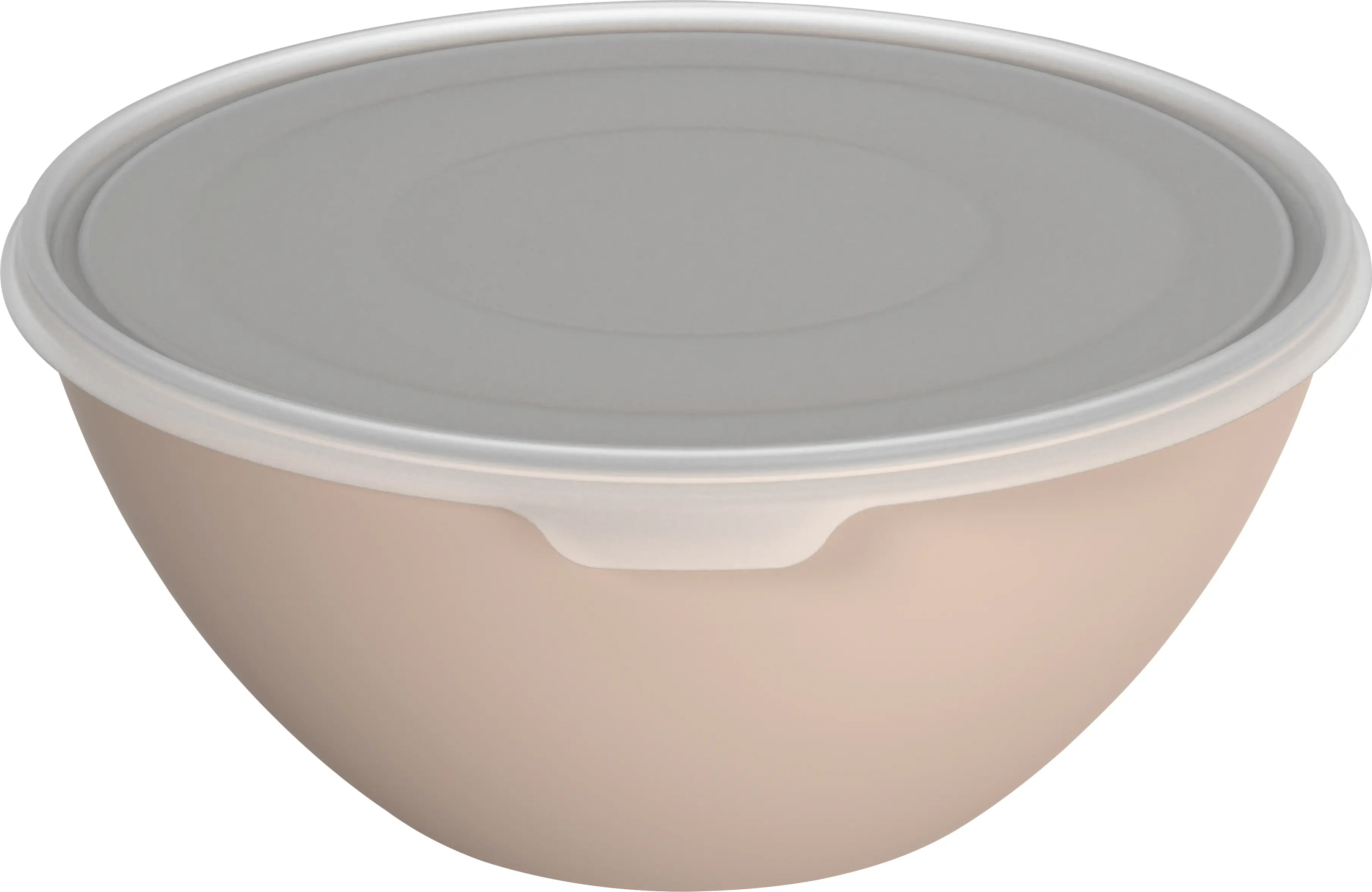 Rotho Schüssel + Deckel Caruba, 8 l meadow rose