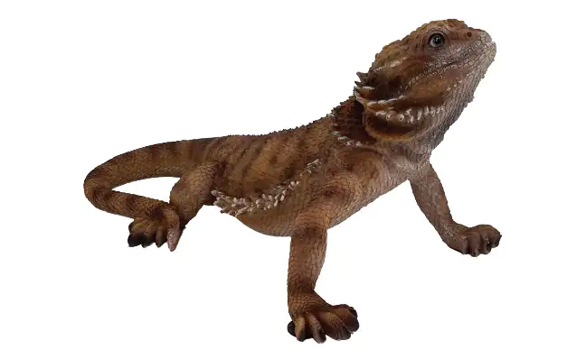 Dekofigur Bartagame 34 x 20 cm braun