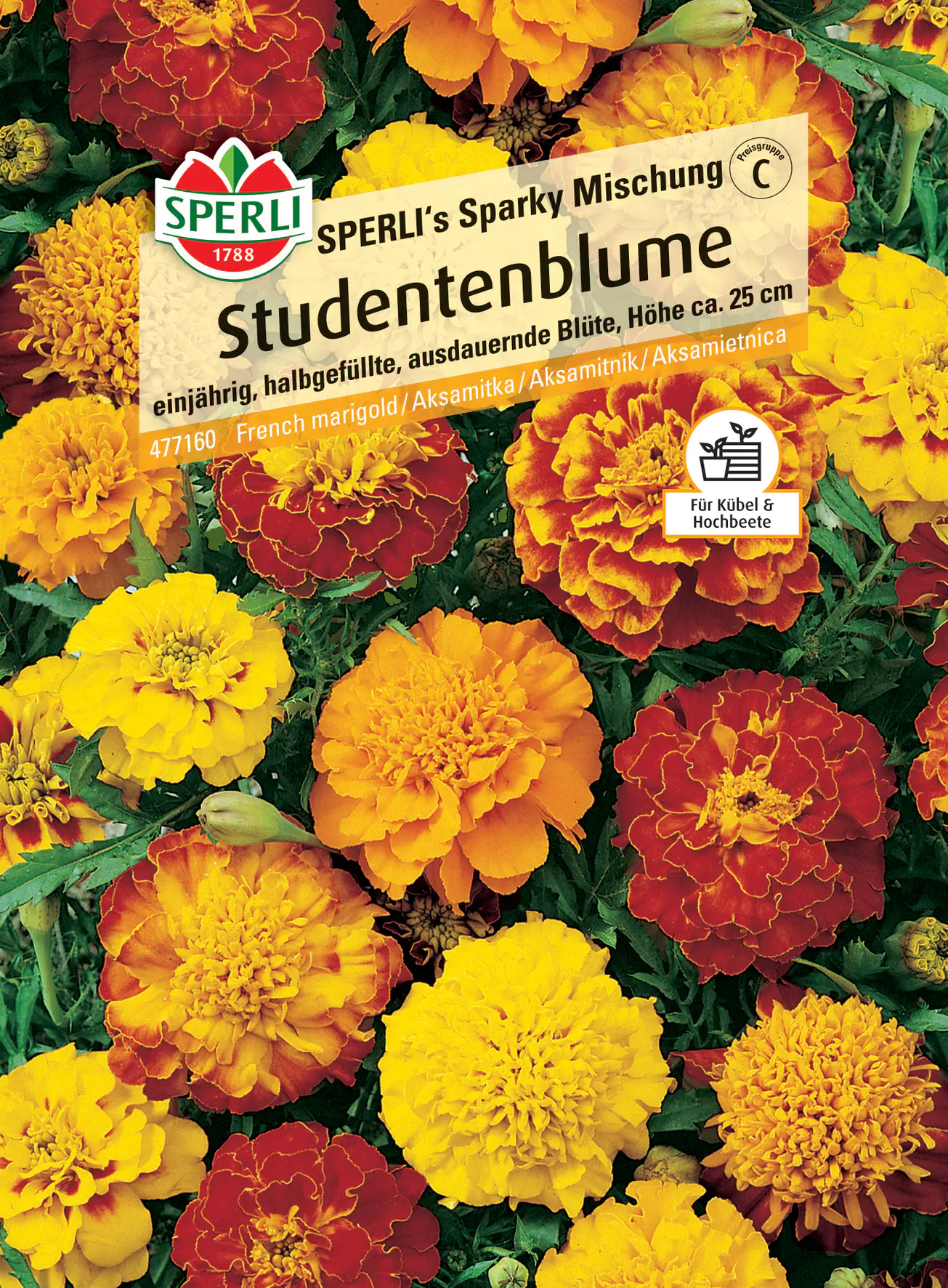 Sperli Studentenblume SPERLI's Sparky Mischung