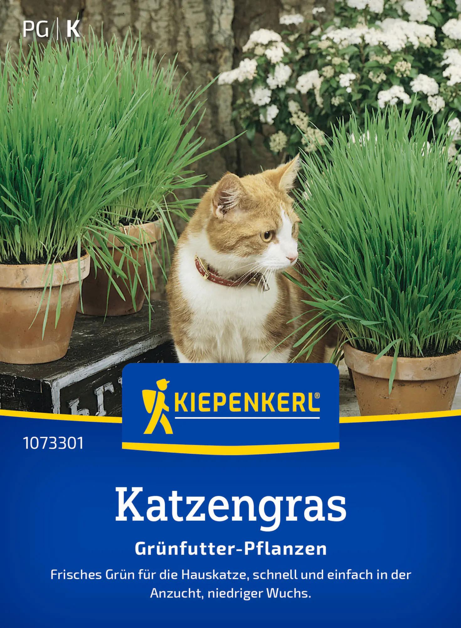 Kiepenkerl Saatgut Katzengras Frischgrün Mischung für ca. 1 m²