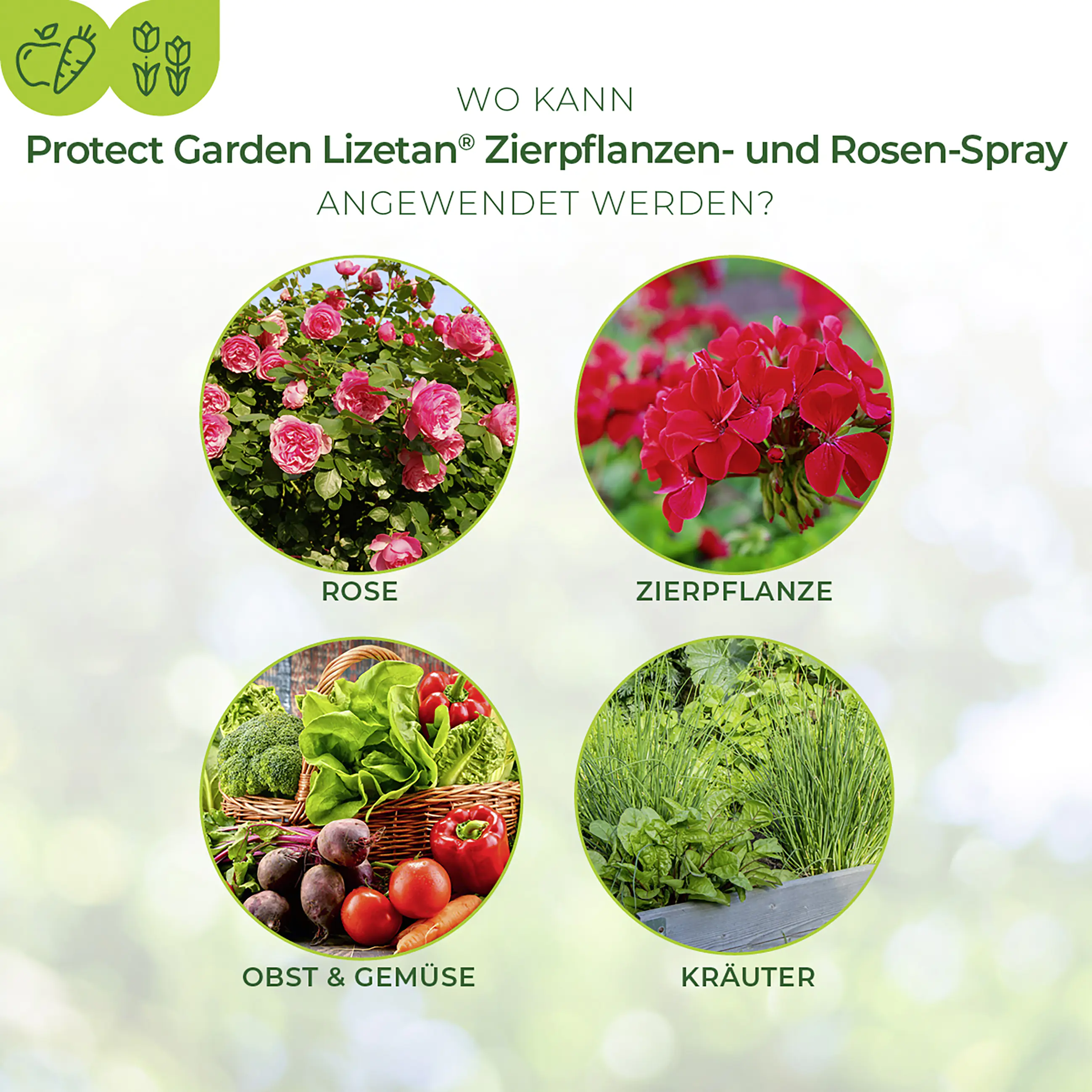 Protect Garden Lizetan Zierpflanzen- & Rosen-Spray AF 750 ml