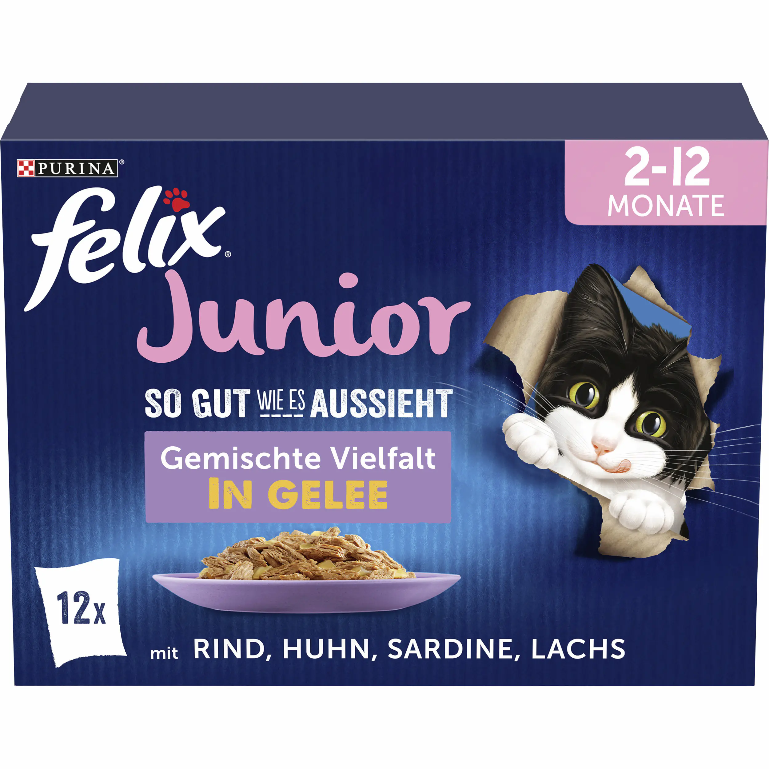 Felix Junior Gemischte Vielfalt in Gelee Katzenfutter 12 x 85g