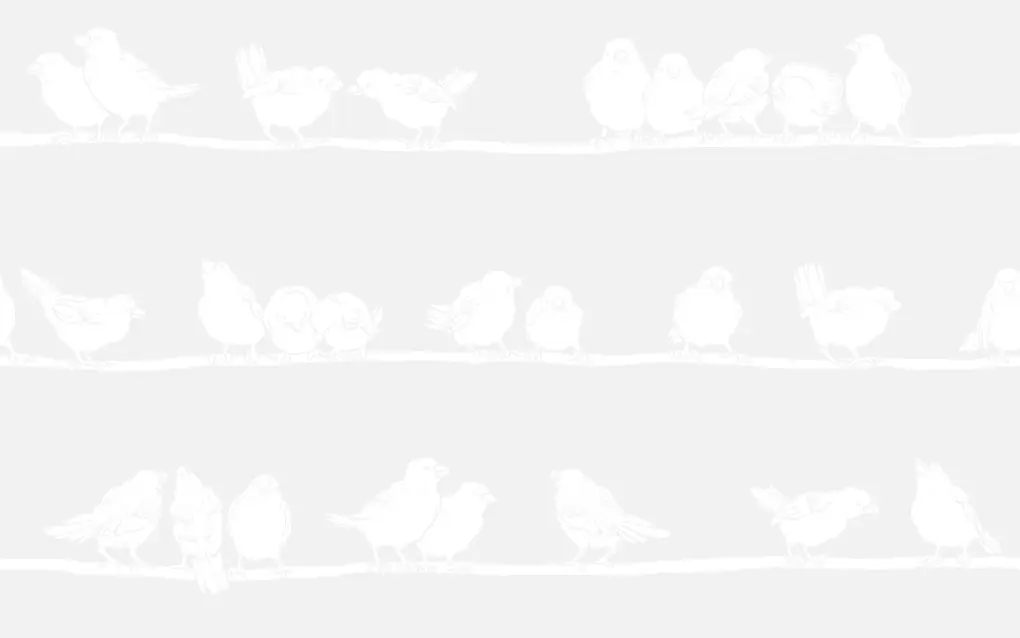 d-c-fix Folie static premium Filippa 45 cm x 1 m 