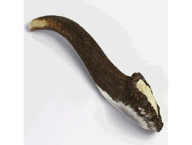 Larsson Geweih Full-Chew XXL