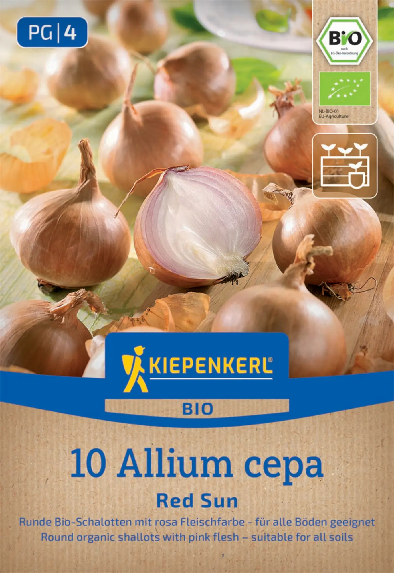 Kiepenkerl Profi-Line Bio Steckzwiebel Schalotte Red Sun Gr. 7/15, 10 Stück