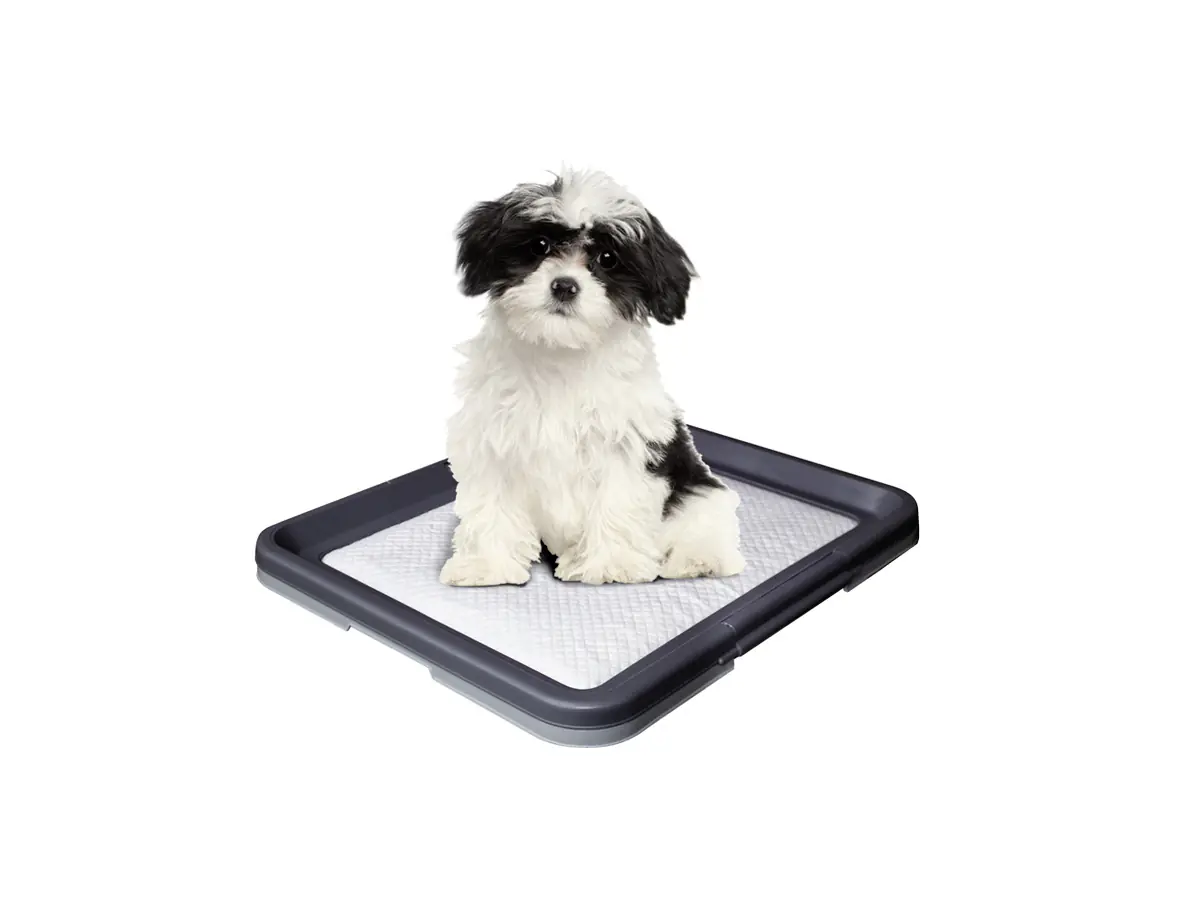 Nobby Doggy Trainer Ersatzpads 24 Stück Größe S