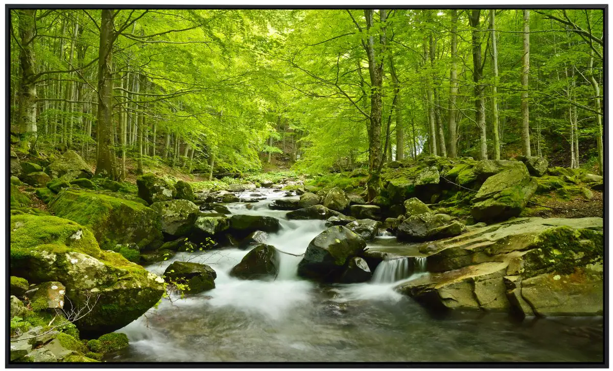 papermoon Infrarotheizkörper EcoHeat 60x120 cm 1000 Watt Wasserfall im Wald