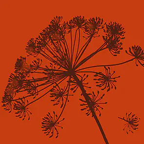 Braun & Company Servietten Atelier Pure Botanic rost 33 x 33 cm - 20er Pack