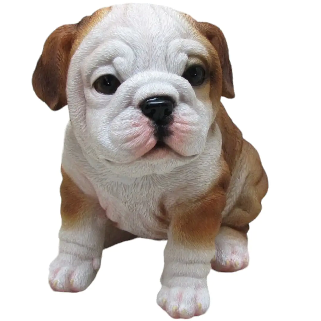 Dekofigur Bulldogge sitzend 17 x 16 x 12 cm weiß braun
