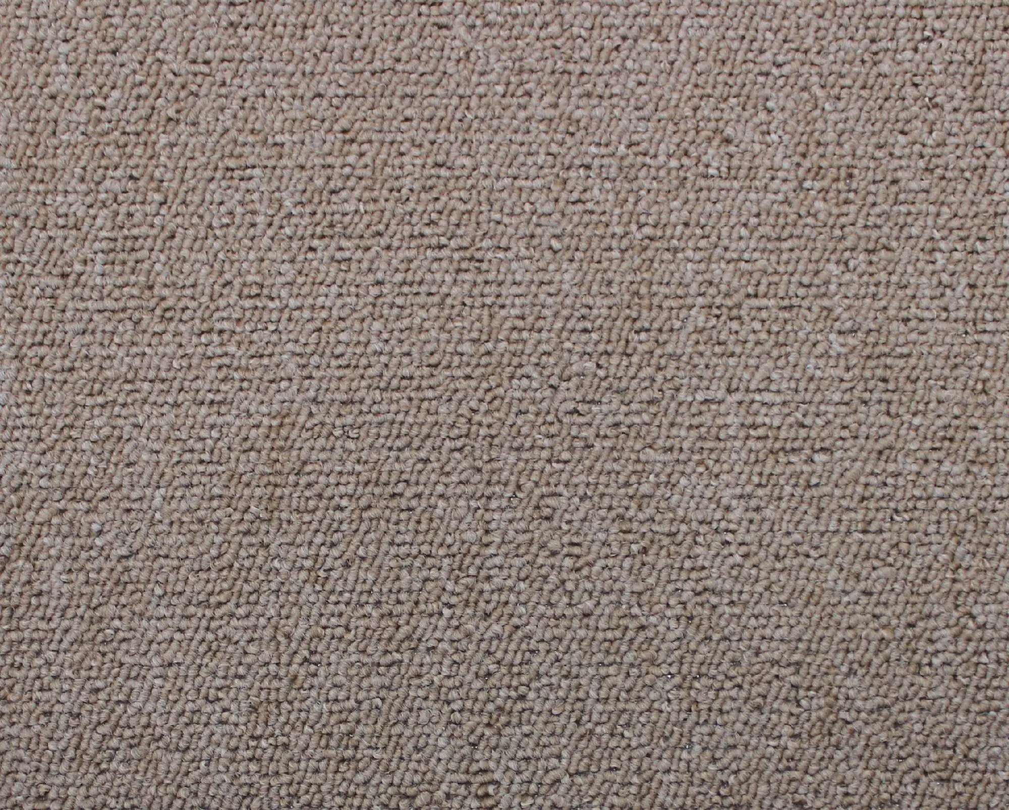 Andiamo Teppichboden Stella Coupon im Wunschmaß, beige, 4 m breit