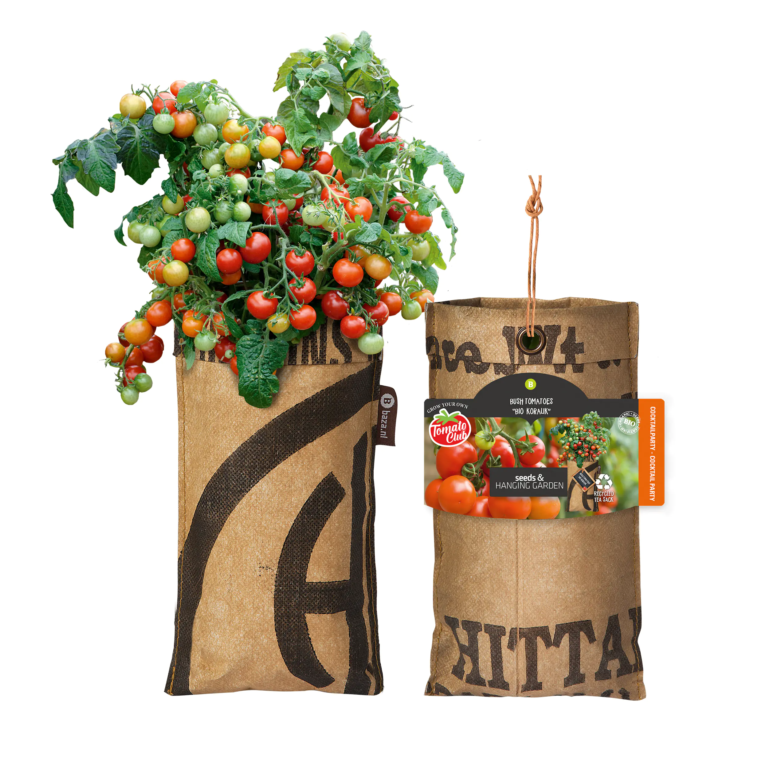 Baza Seeds hängender Garten Strauchtomate Bio Koralik  Baza Seeds hängender Garten Strauchtomate Bio Koralik