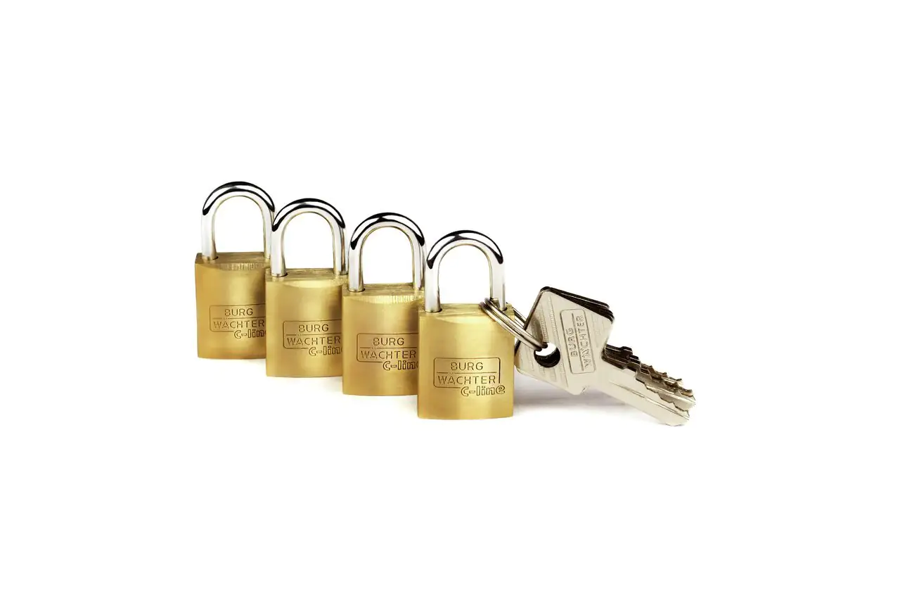 Burg Wächter Vorhängeschloss Quadro 222 15 C-Line 8.0 x 11.0 mm - 4 Stück Burg Wächter Vorhängeschloss Quadro 222 15 C-Line 8.0 x 11.0 mm - 4 Stück