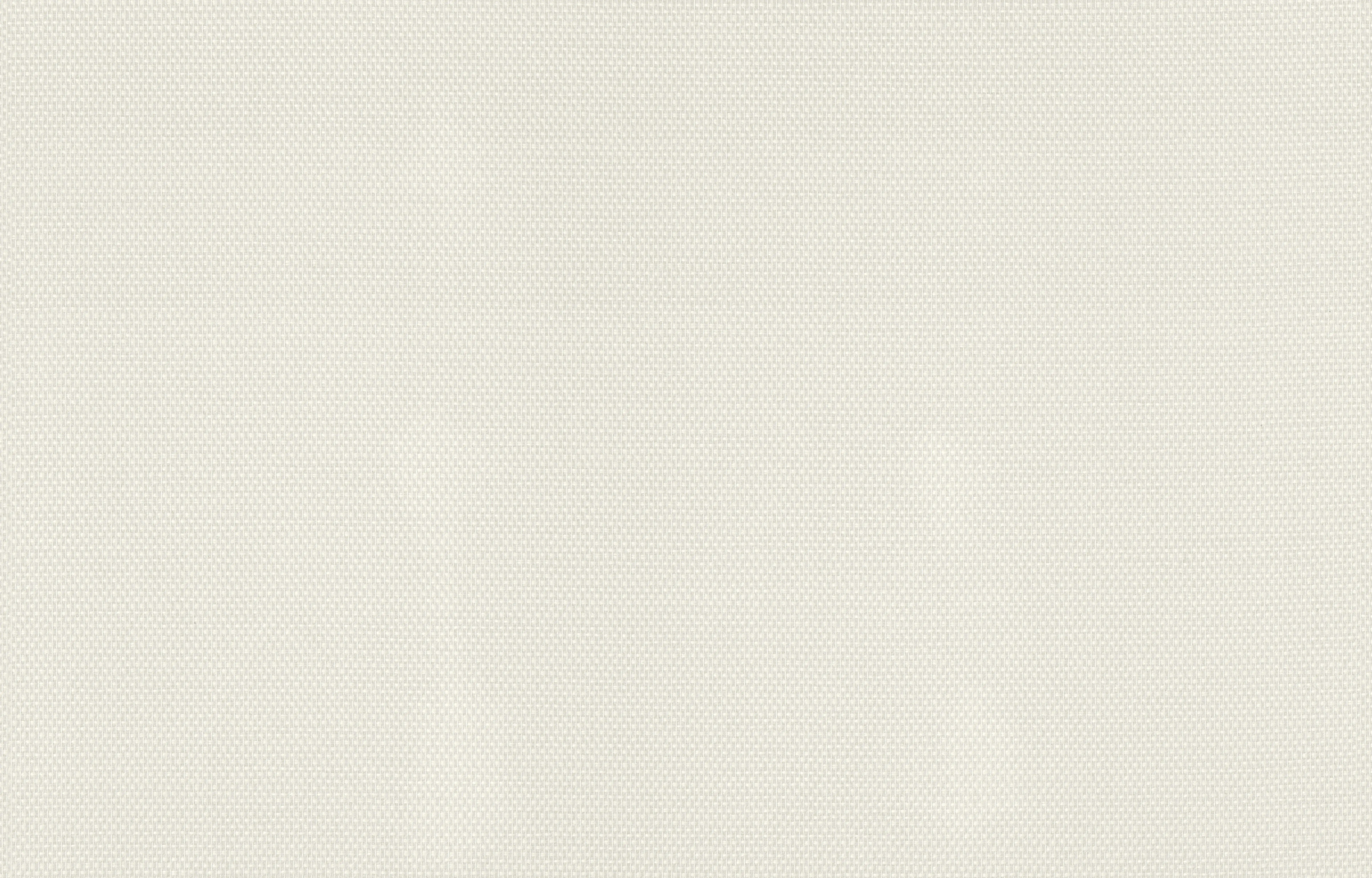 Rasch Glasfasertapete 028545 basic 50 x 1 m 