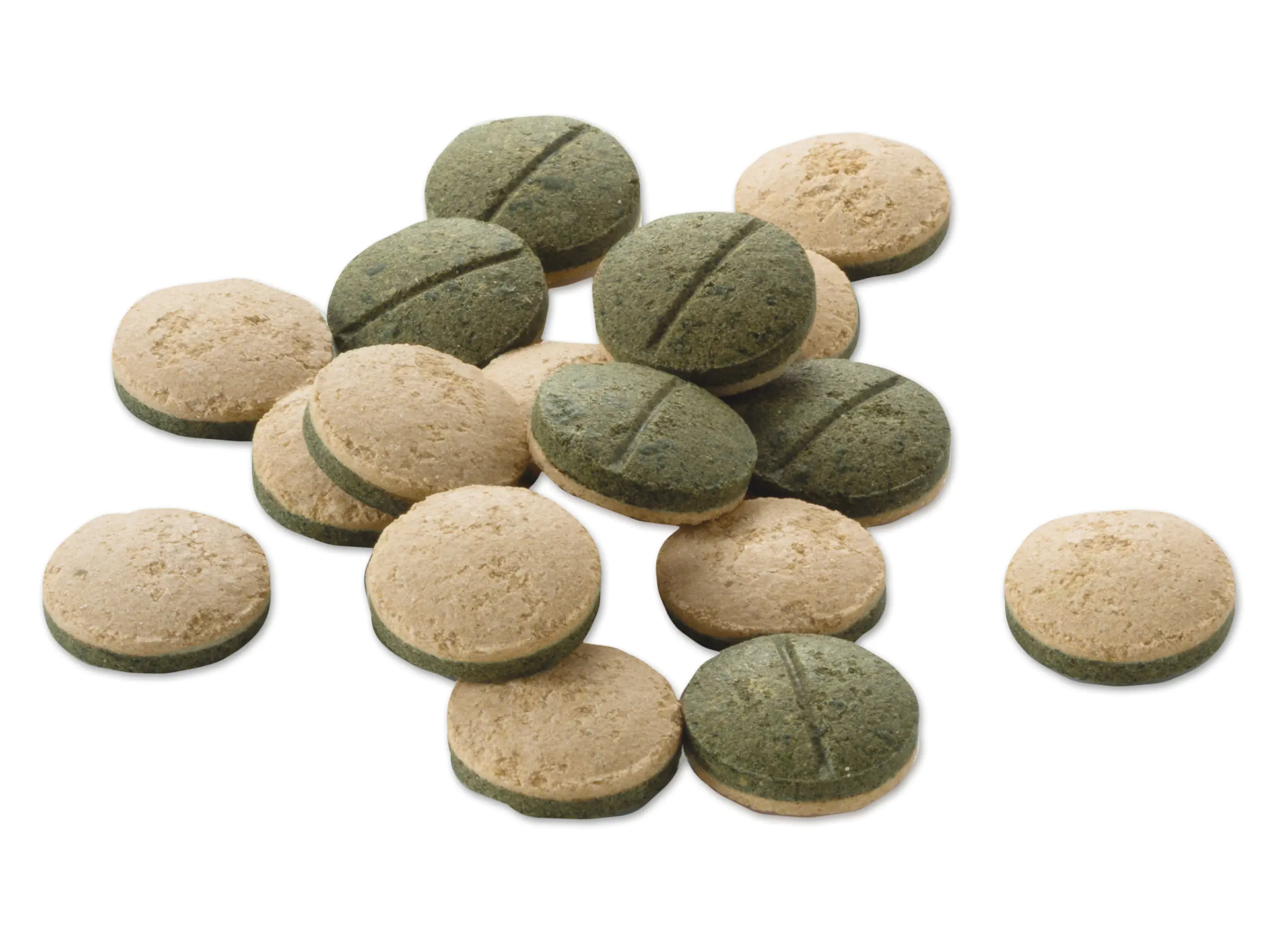 Tetra Pleco Tablets XL 133 133 Tabletten Tetra Pleco Tablets XL 133 133 Tabletten