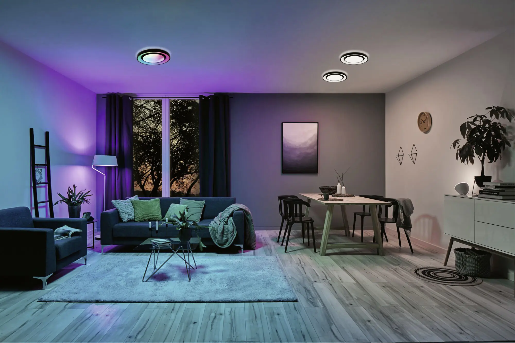 Paulmann LED Deckenleuchte Rainbow schwarz weiß Ø 37,5 cm RGBW