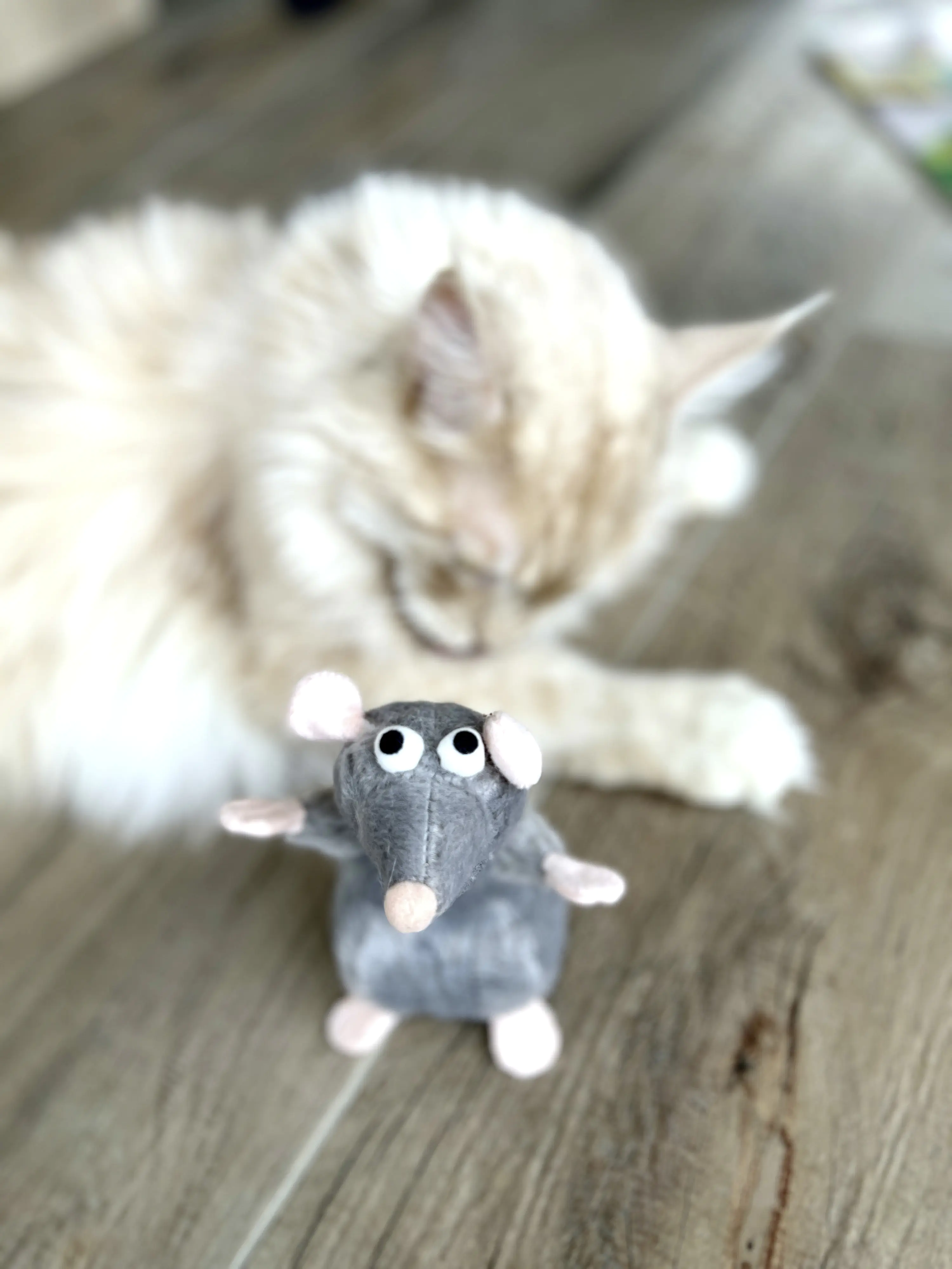 Aumüller Katzenkissen Ratte Cedric grau mit Füllung 13 x 6 x 5 cm Aumüller Katzenkissen Ratte Cedric grau mit Füllung 13 x 6 x 5 cm