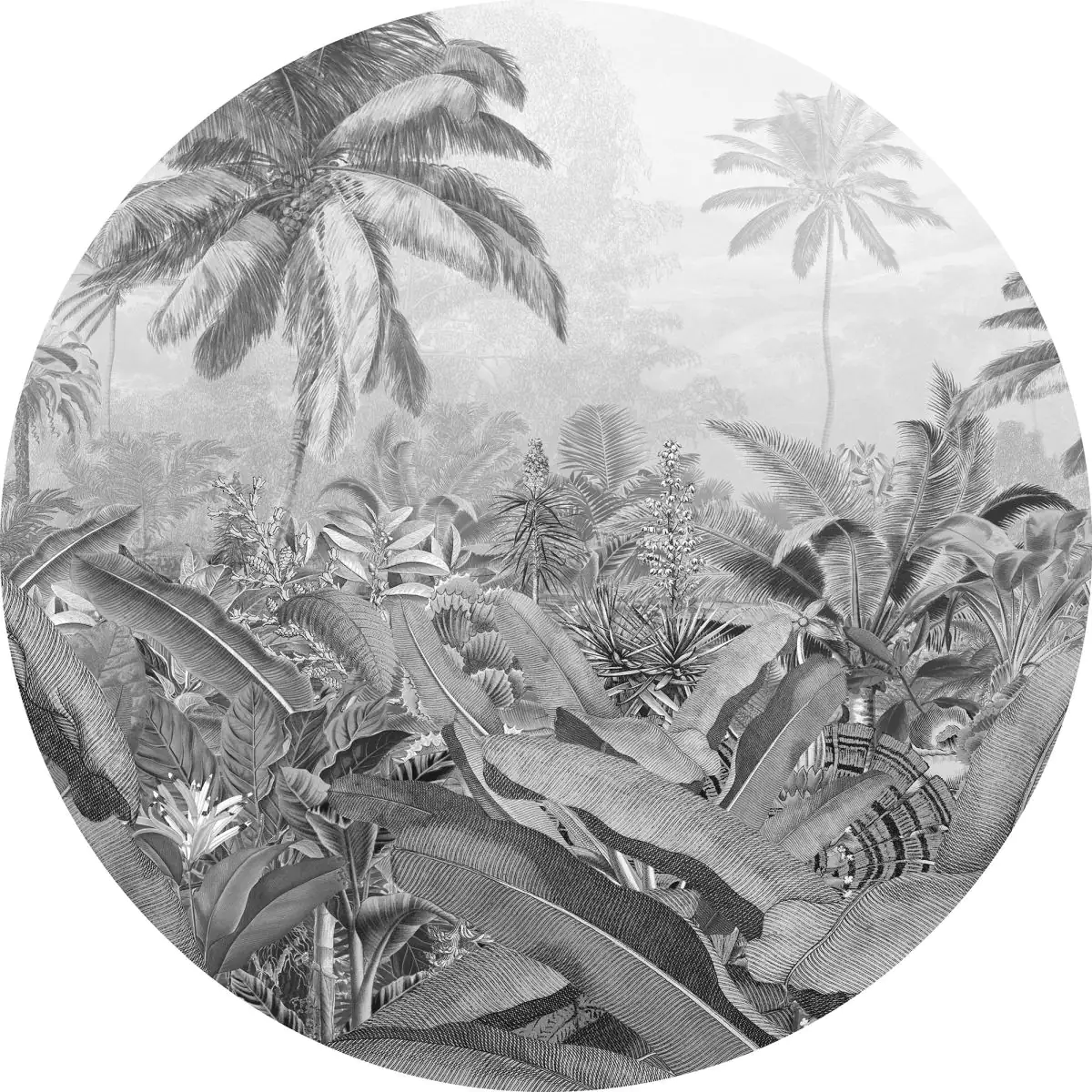 4036834090395 Komar Vlies Fototapete Dot Amazonian Spirit Ø 125 cm, selbstklebend