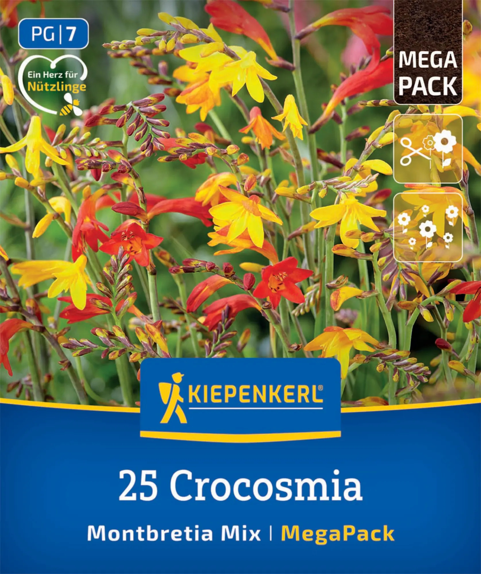 Kiepenkerl Mega-Pack Frühjahrsblumenzwiebel Montbretien Mischung 25 Stück