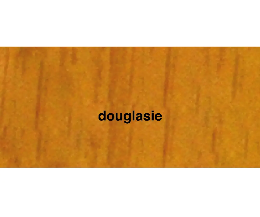 Primaster Gartenholzöl 5 L douglasie