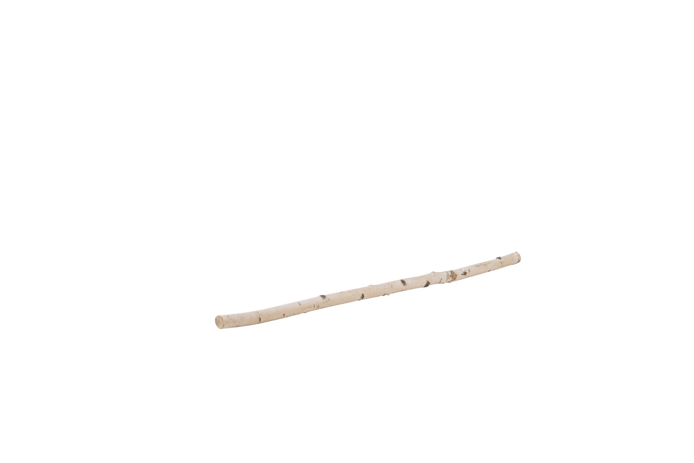 Birkenstamm 90 cm ø 2-4 cm Birkenstamm 90 cm ø 2-4 cm