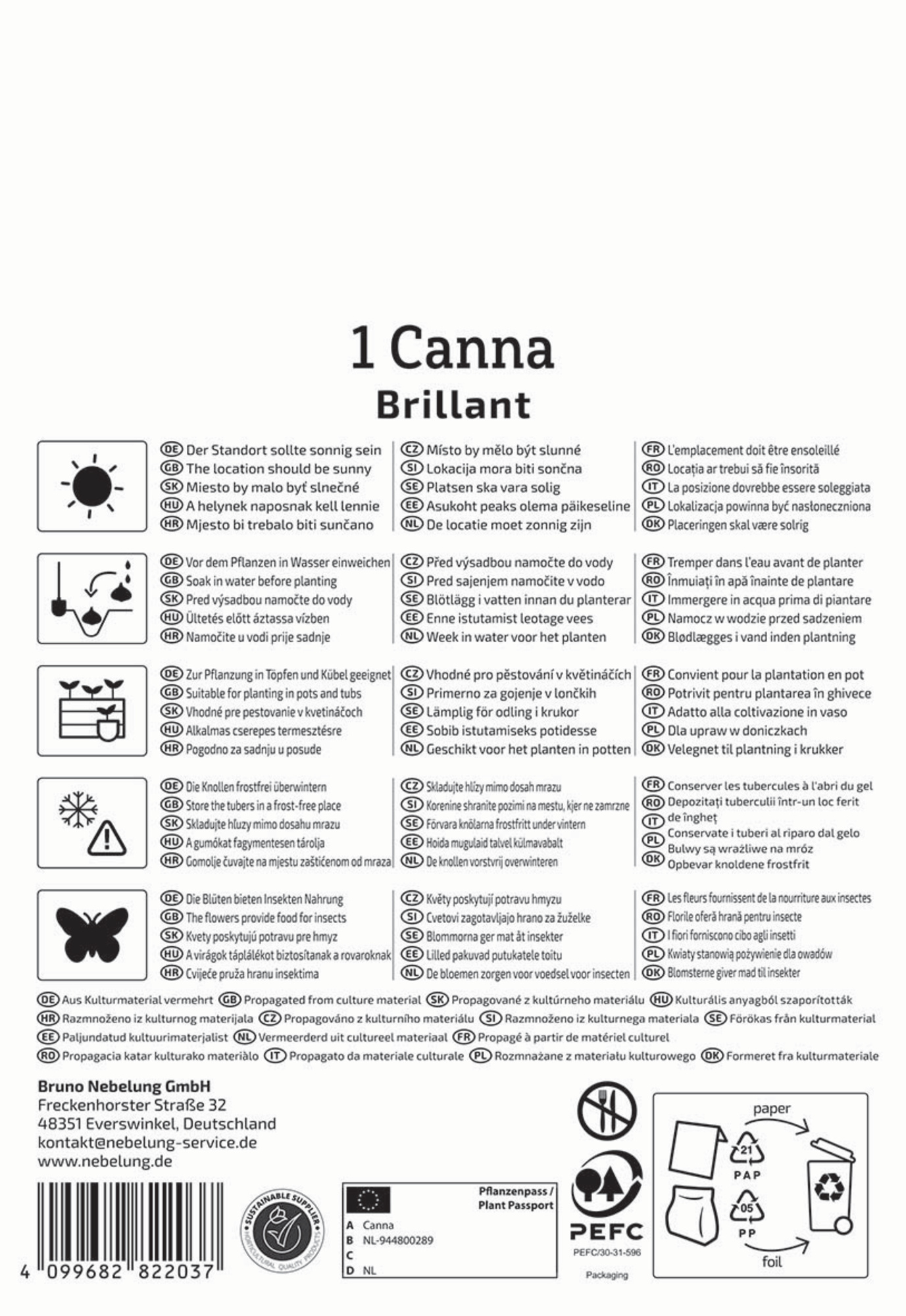 Kiepenkerl Frühjahrsblumenzwiebel Blumenrohr Brillant 1 Stück