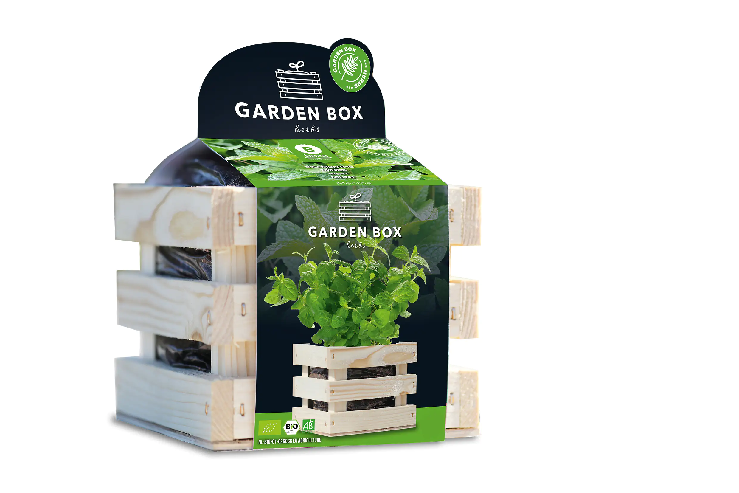 Baza Seeds Garden Box Bio Minze Baza Seeds Garden Box Bio Minze