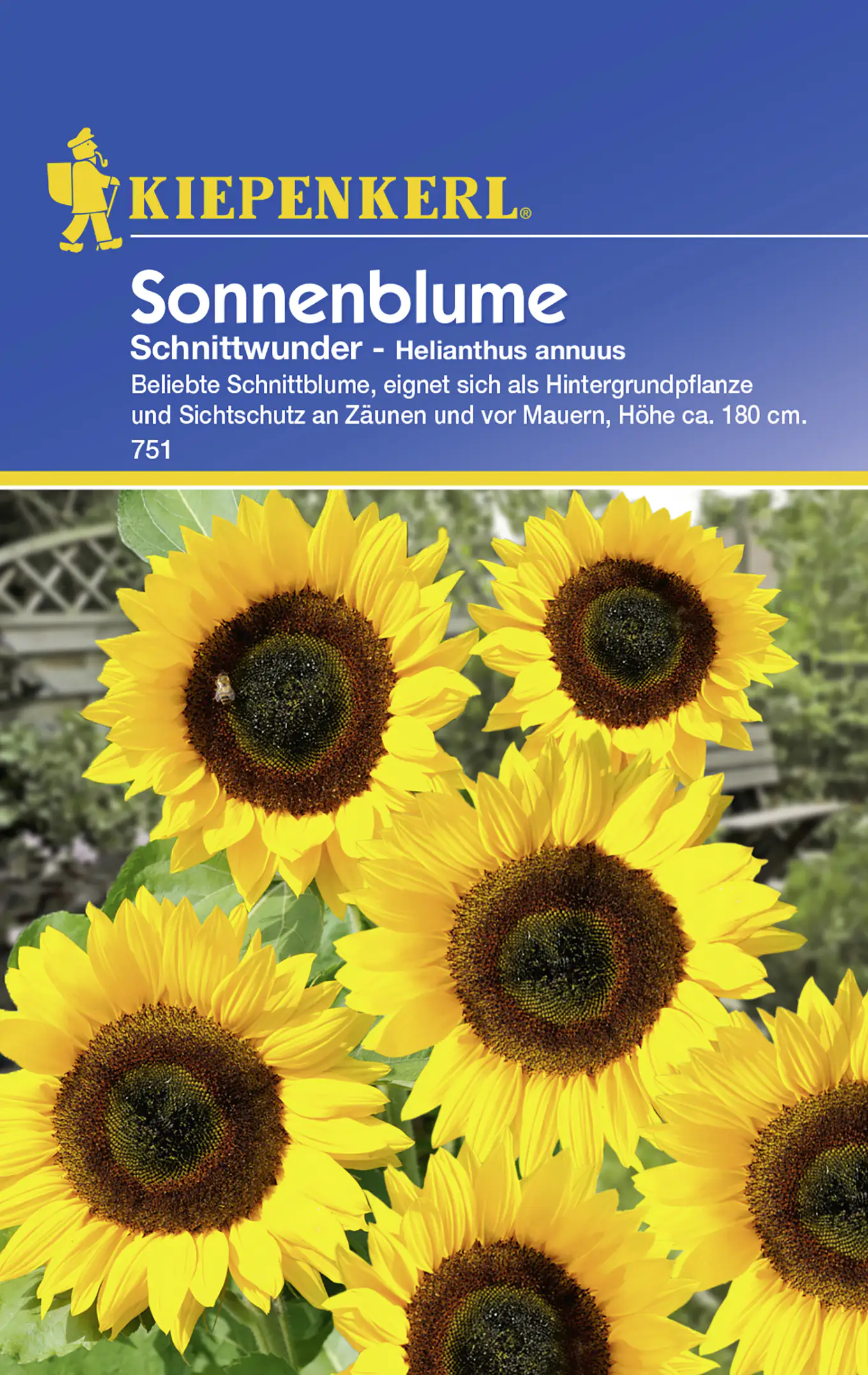 Kiepenkerl Sonnenblume Schnittwunder Helianthus annuus, Inhalt: ca. 10 Pflanzen