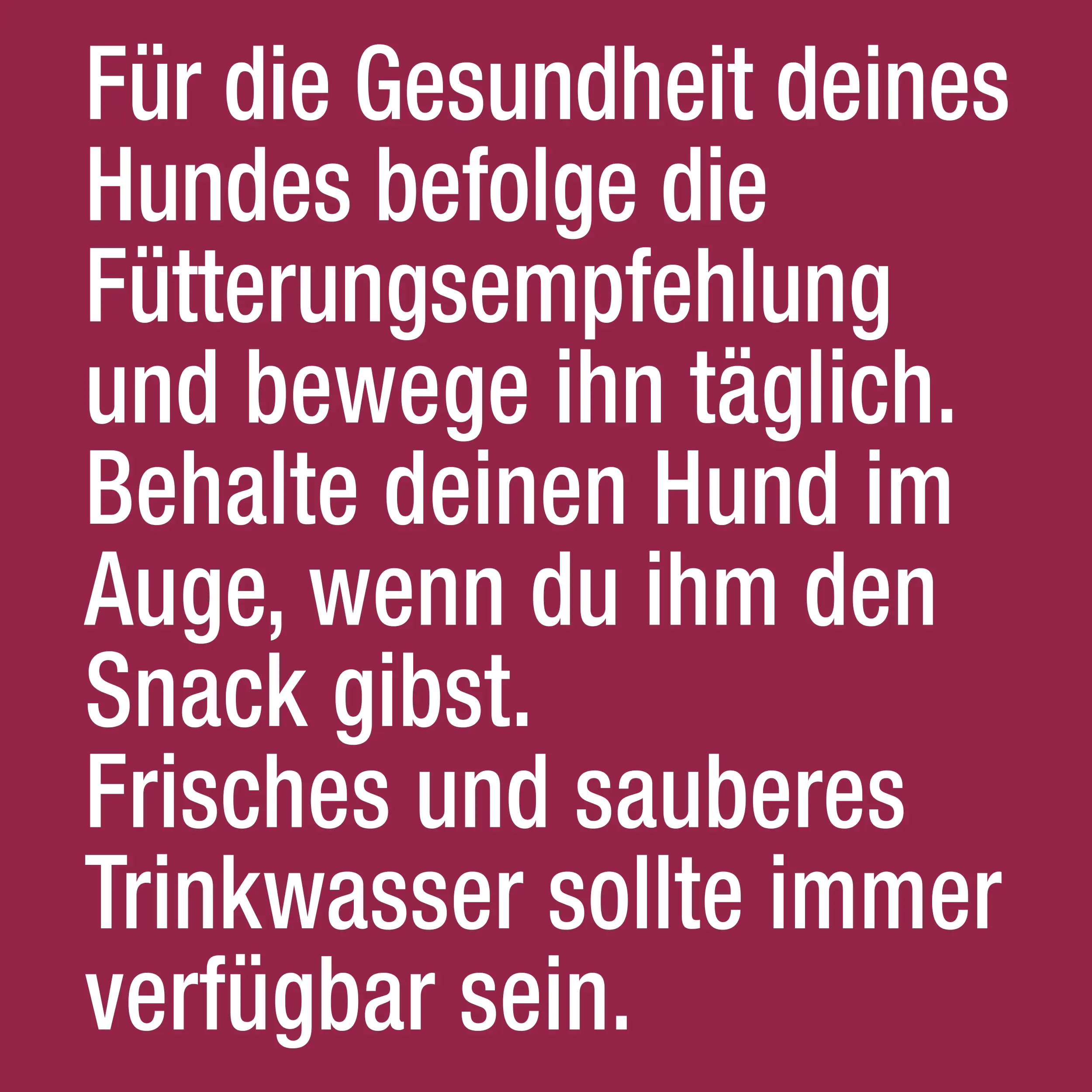 Adventuros mit Wildschweingeschmack 90 g Adventuros mit Wildschweingeschmack 90 g