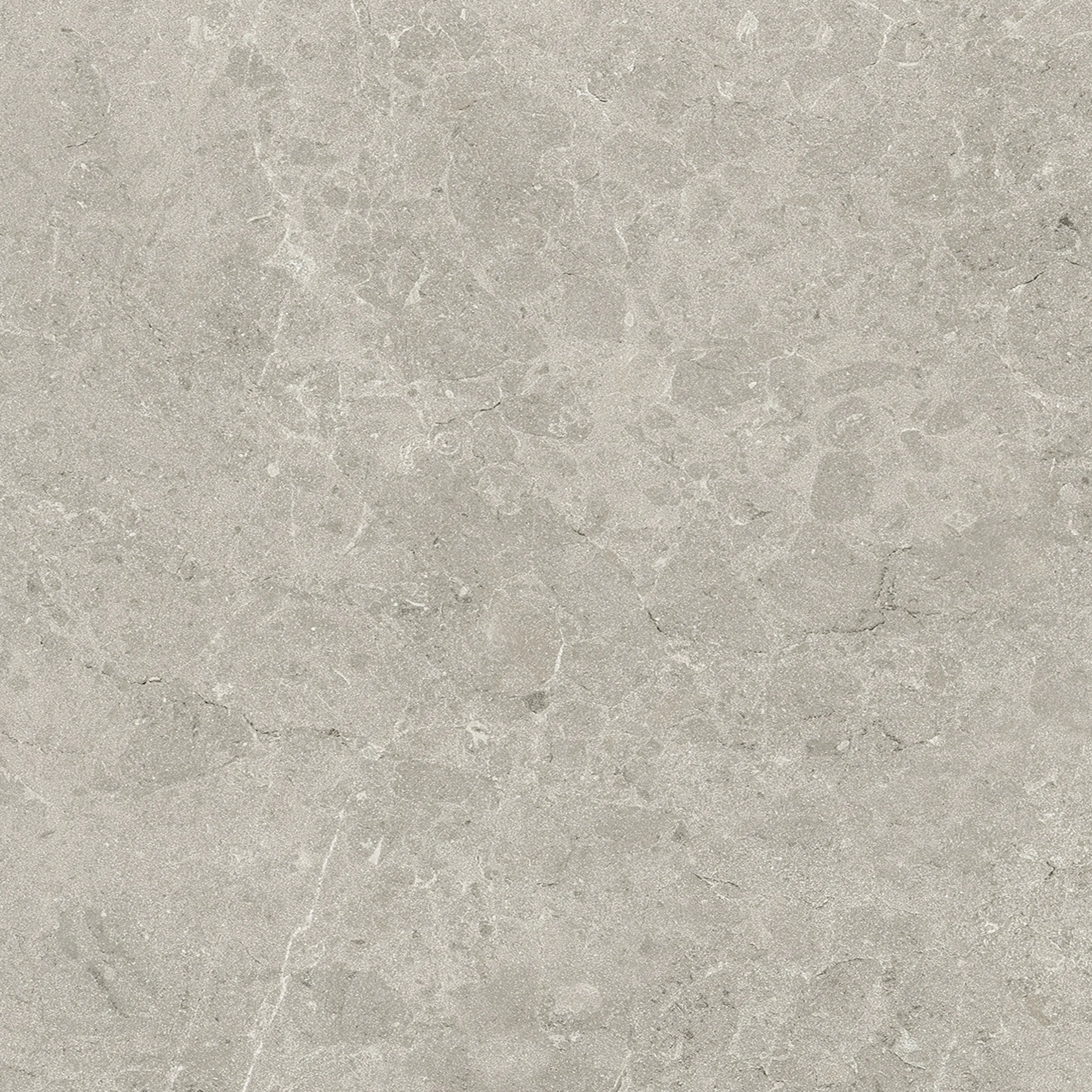 Terrassenplatte Feinsteinzeug Botticino 60 x 60 x 2 cm grau