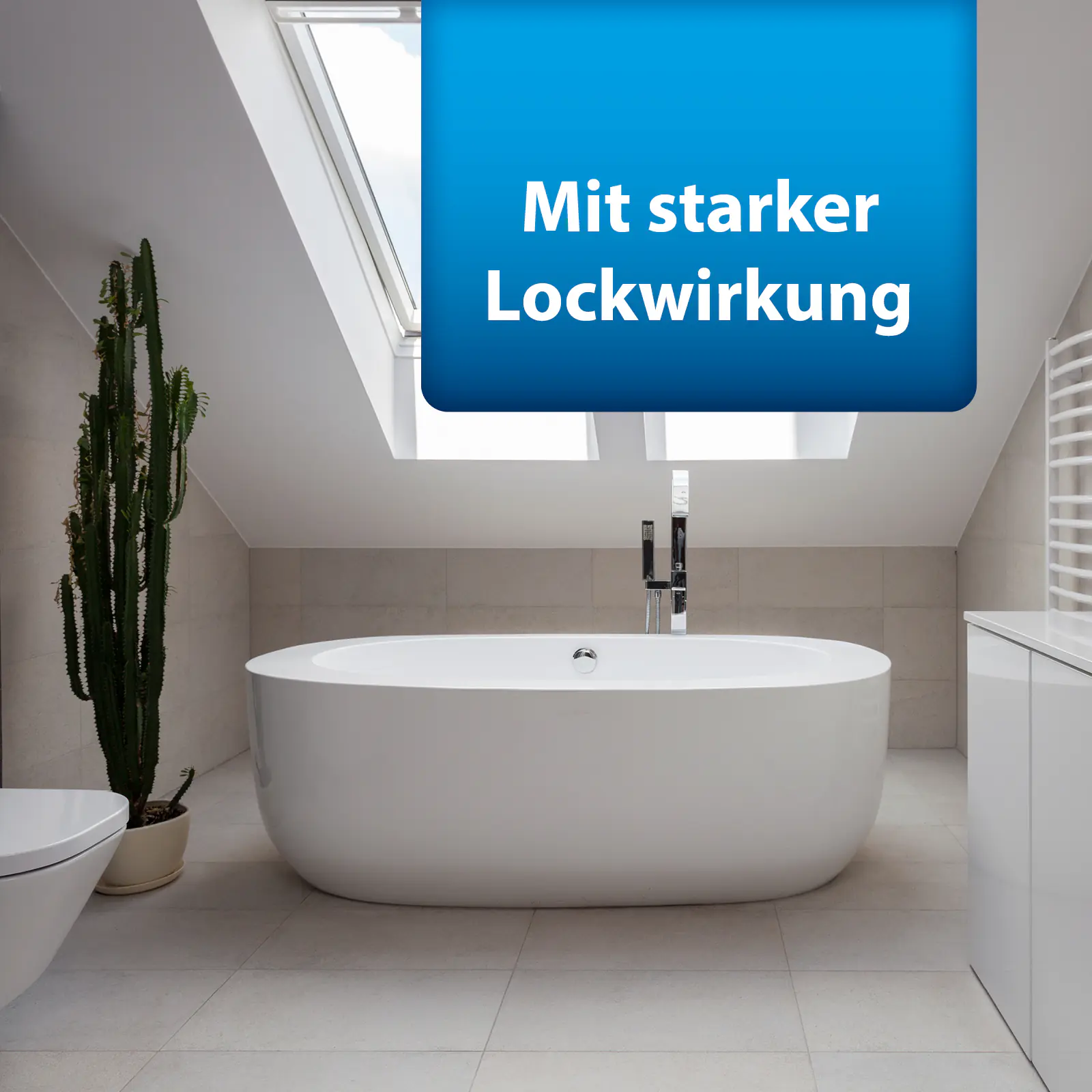 Ardap Pro Silberfischchenköderdose 4 Stück