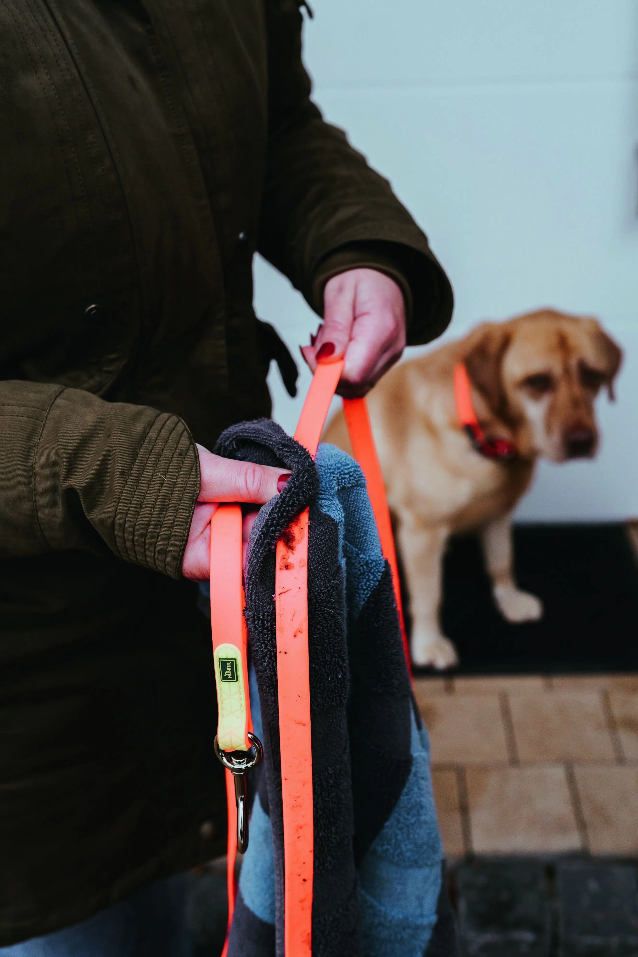 Hunter Schleppleine Hund Convenience 5 m x 2 cm neonorange