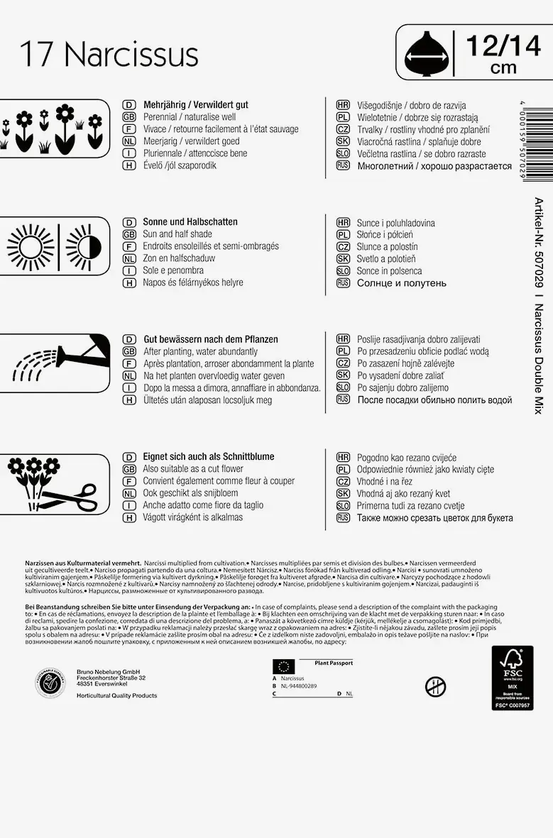 Mega-Pack Narzissen Gefüllte Mischung Narcissus pseudonarcissus