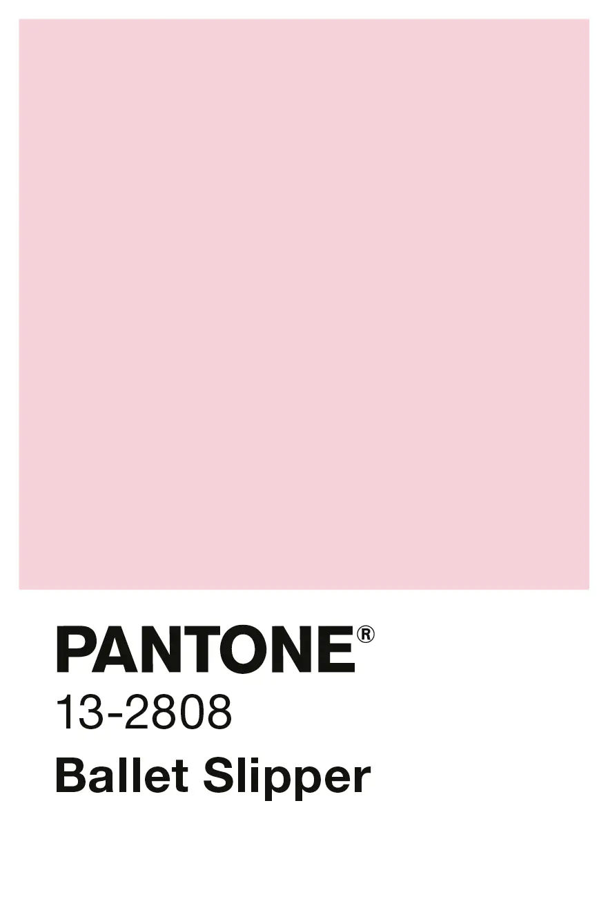 Alpina Wandfarbe Pantone matt ballet slipper 2,5 L