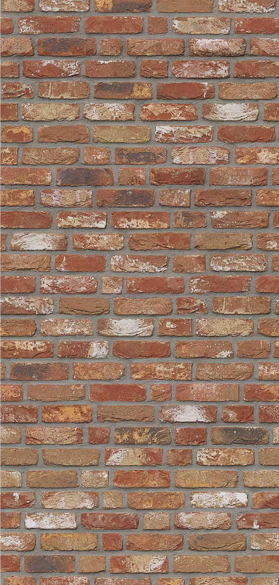 Breuer Duschrückwand Mauer-Optik Rot Dekor 100 x 210 x 0,3 cm