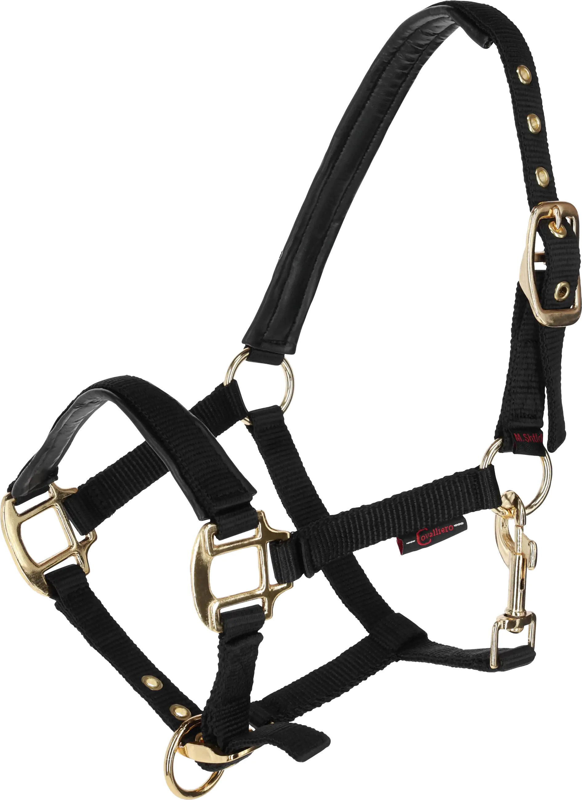 Kerbl Covalliero Fohlenhalfter TopLine black