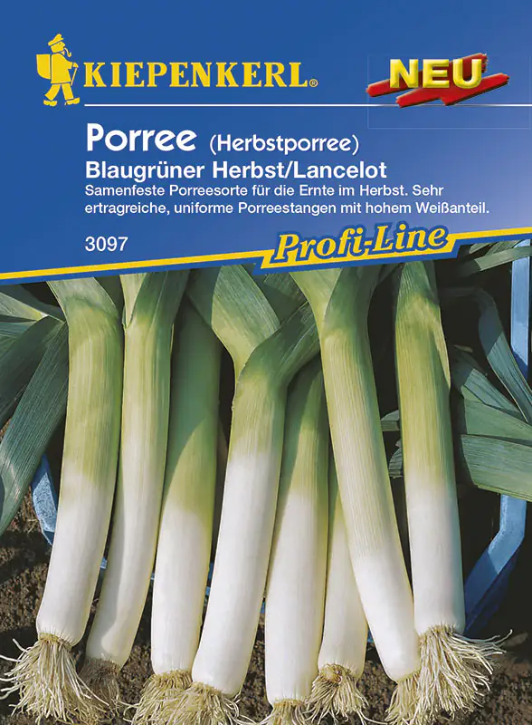 Kiepenkerl Porree Blaugrüner Herbst Lancelot Allium porrum, Inhalt ca