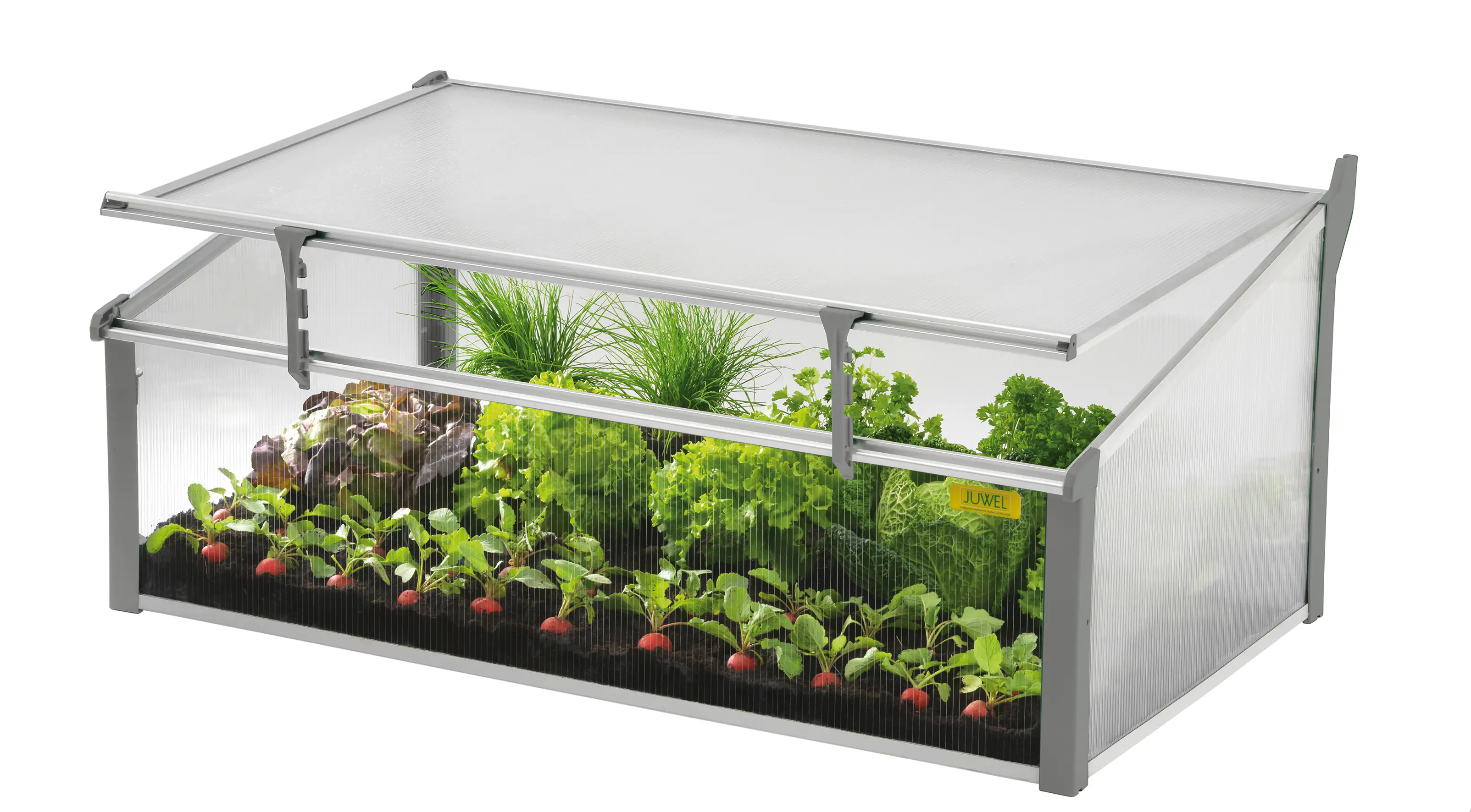 Juwel Frühbeet Easy Fix 100 x 60 cm