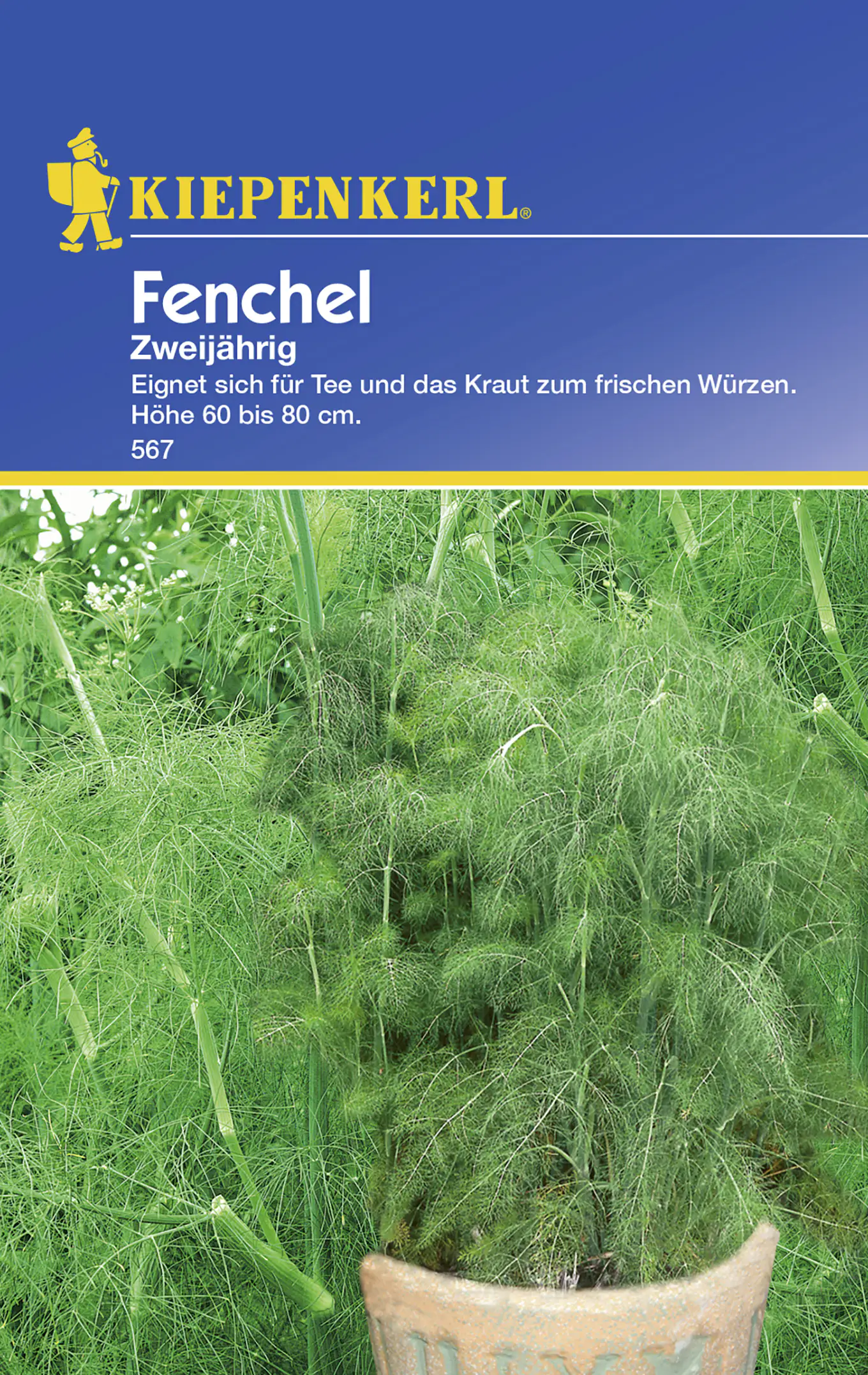 Kiepenkerl Fenchel Zweijährig Foeniculum vulgare, Inhalt: ca. 100 Pflanzen Kiepenkerl Fenchel Zweijährig Foeniculum vulgare, Inhalt: ca. 100 Pflanzen