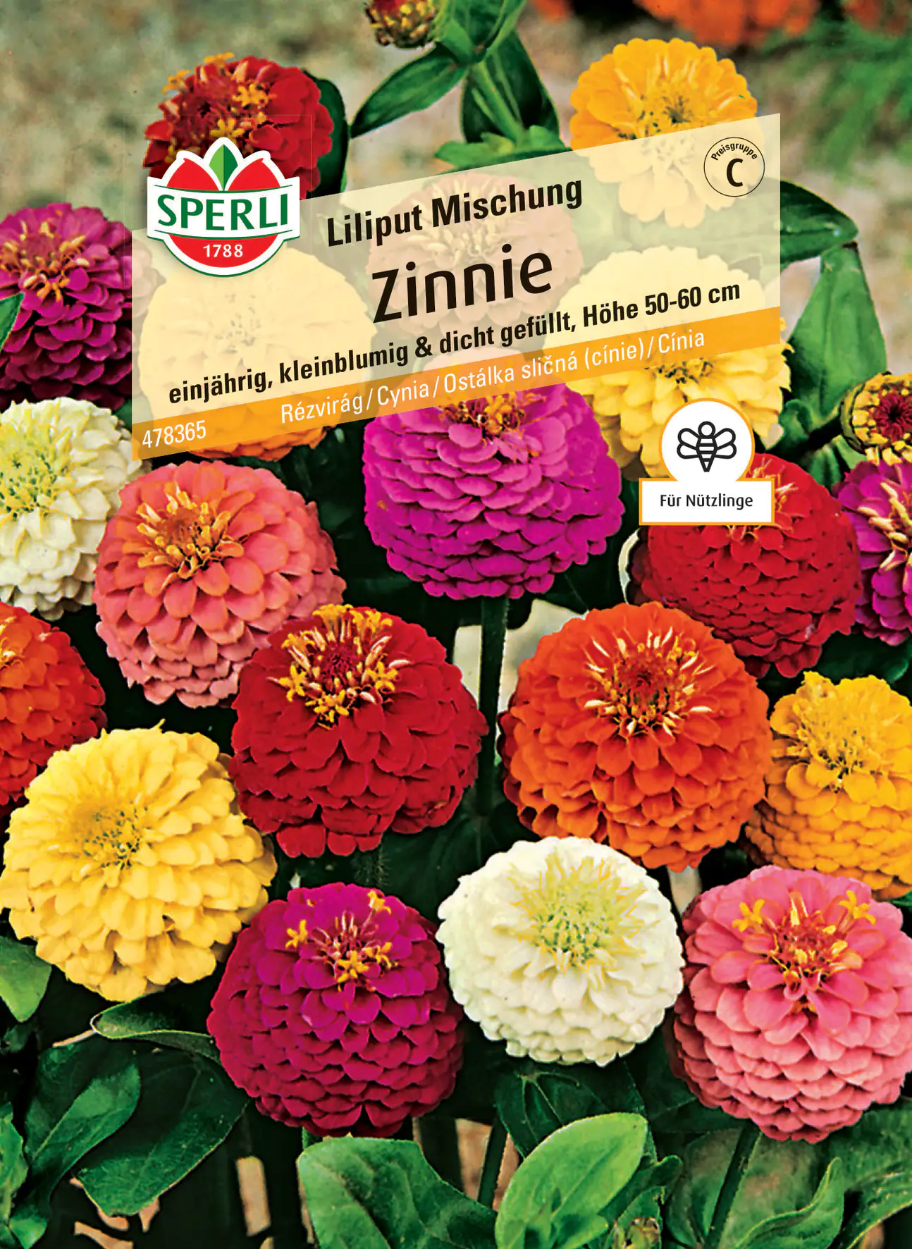 Sperli Zinnie Liliput Mischung