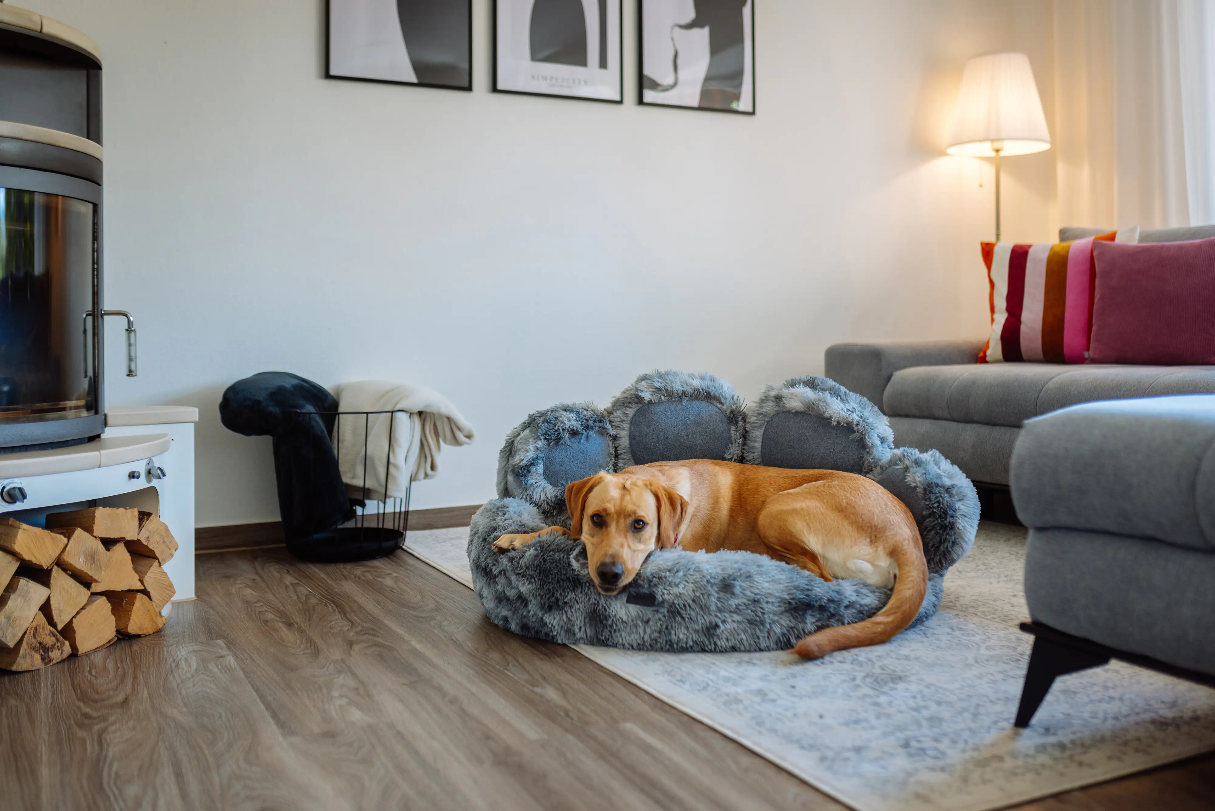 Nobby Komfortbett Paw rund Ø 60 x 18 cm/39 cm grau