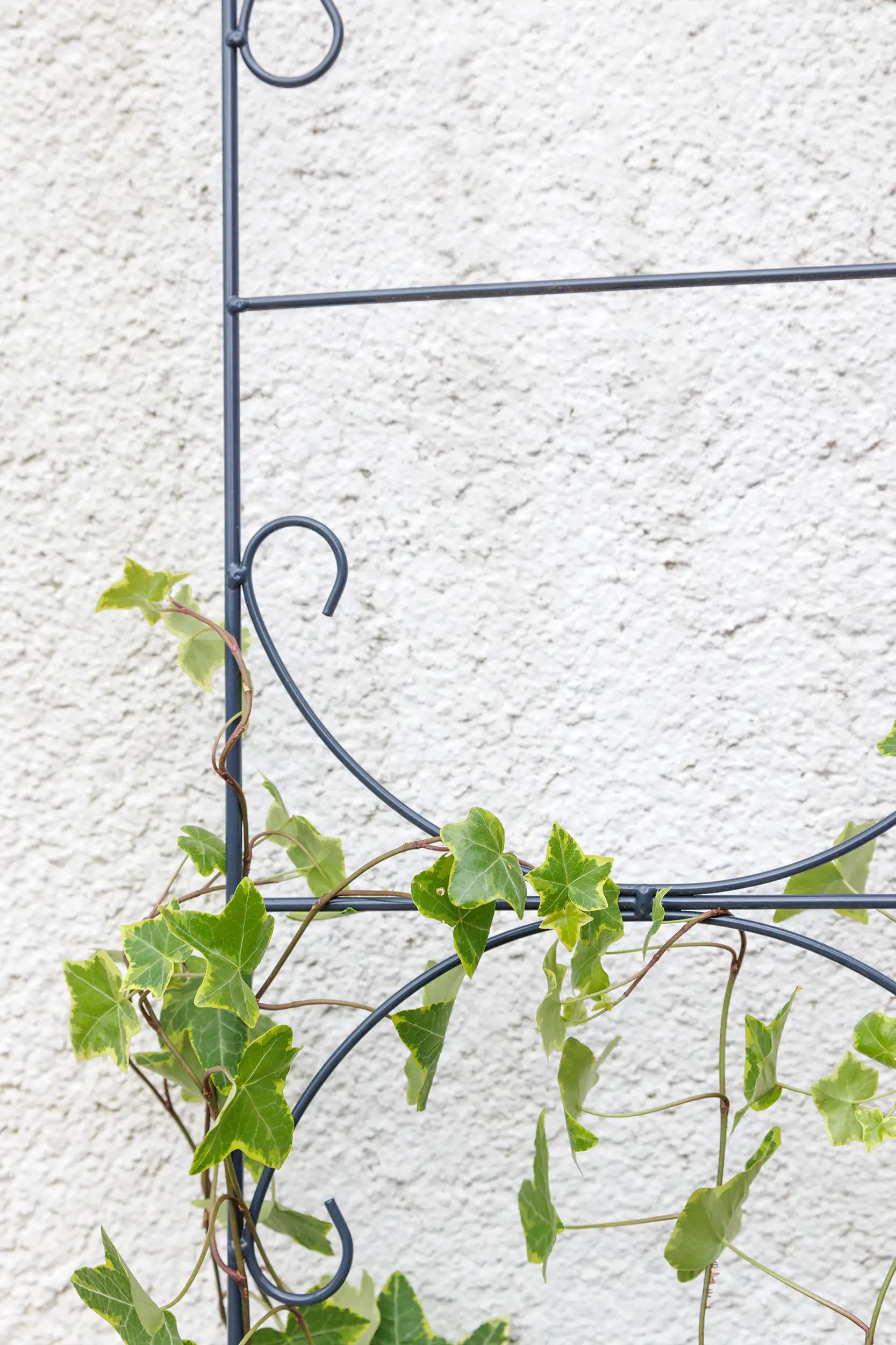 TrendLine Spalier Metall 150 cm dunkelgrau TrendLine Spalier Metall 150 cm dunkelgrau