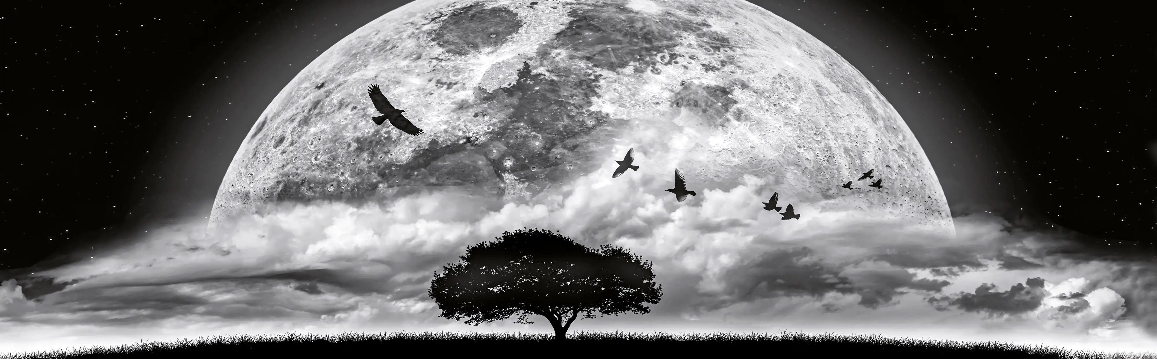 Deco-Panel Bild - Majestic Moon 145 x 45 cm