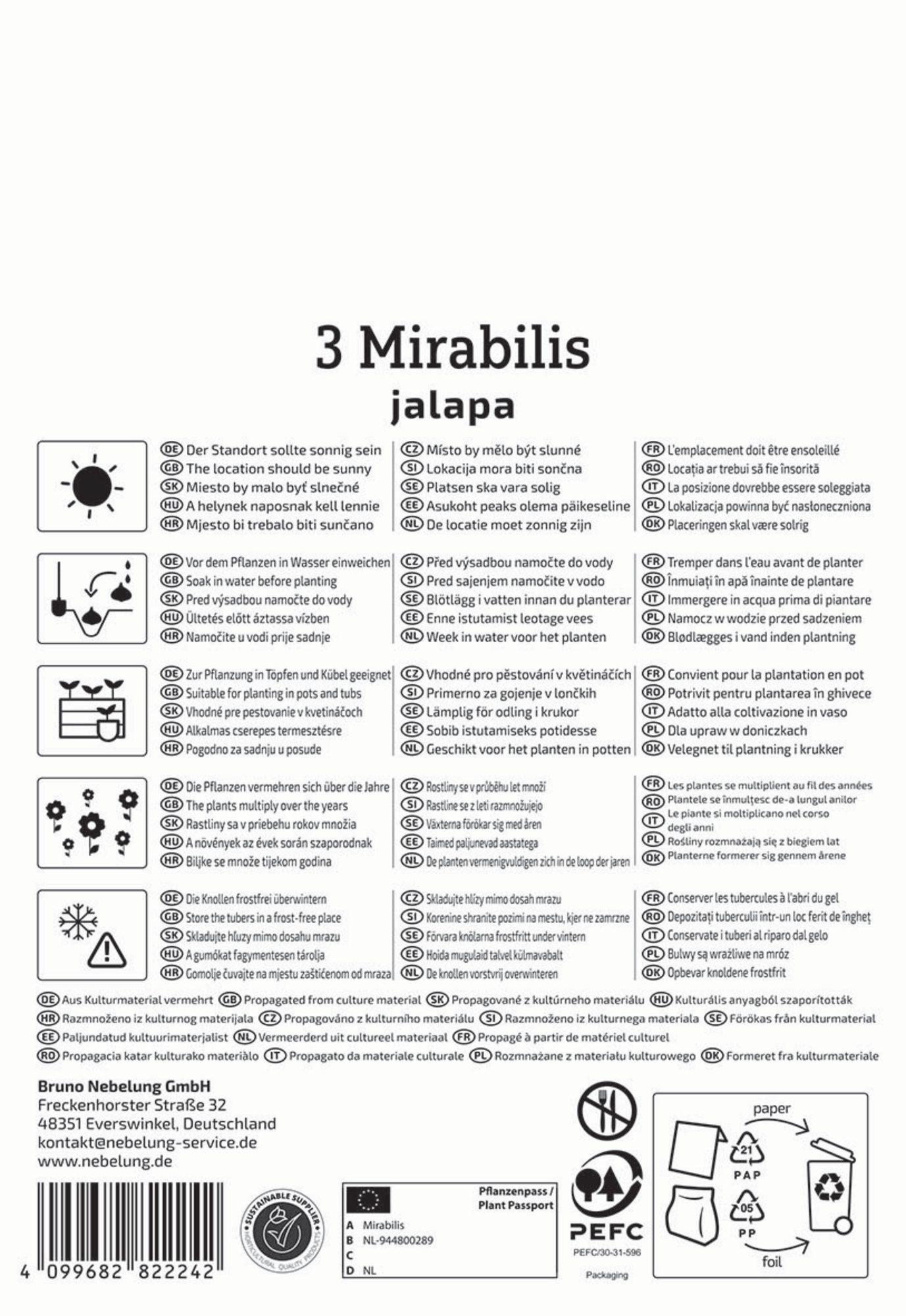 Kiepenkerl Frühjahrsblumenzwiebel Wunderblume 3 Stück