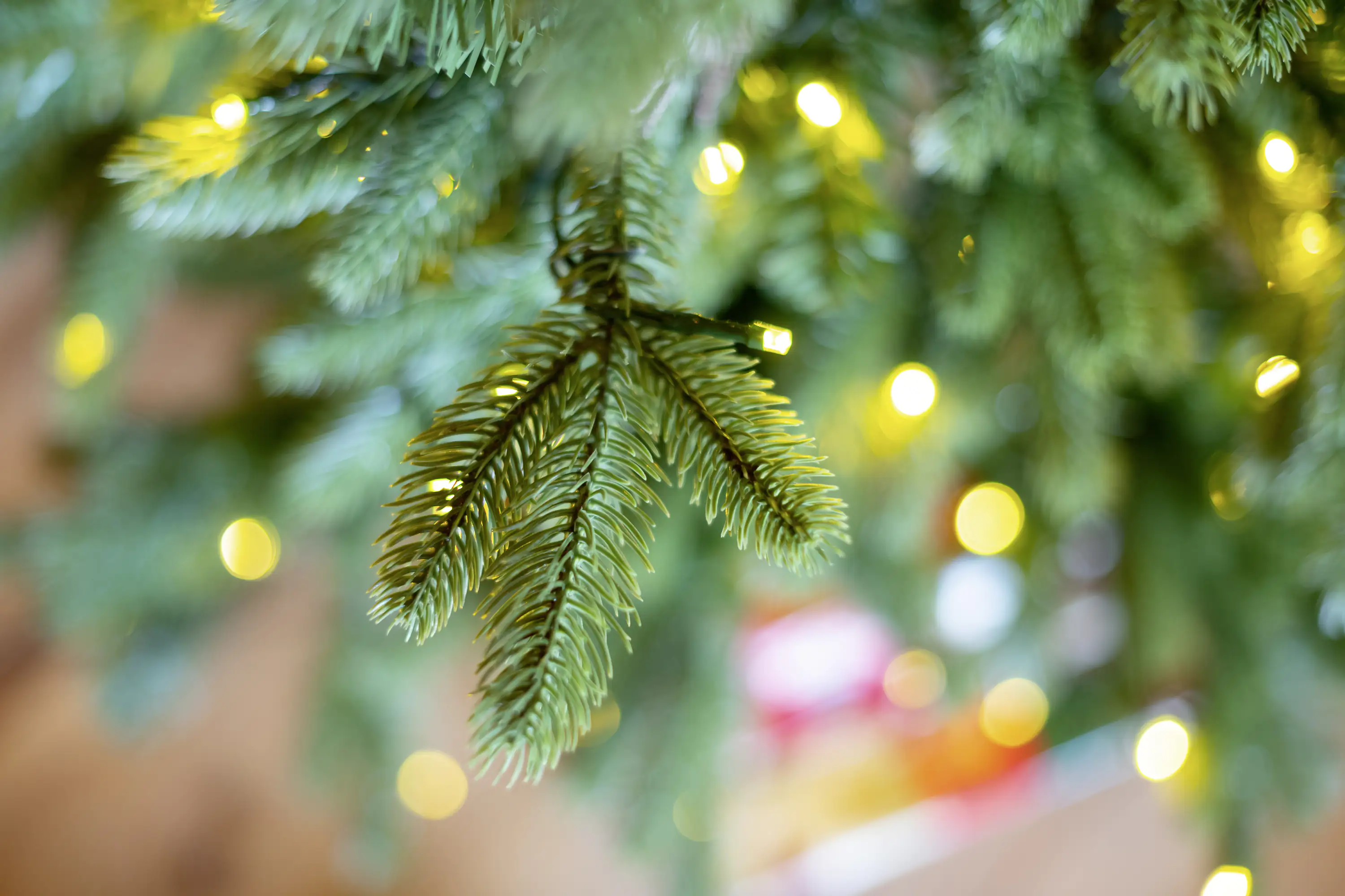 Evergreen Weihnachtsbaum Roswell Kiefer 150 cm beleuchtet Evergreen Weihnachtsbaum Roswell Kiefer 150 cm beleuchtet