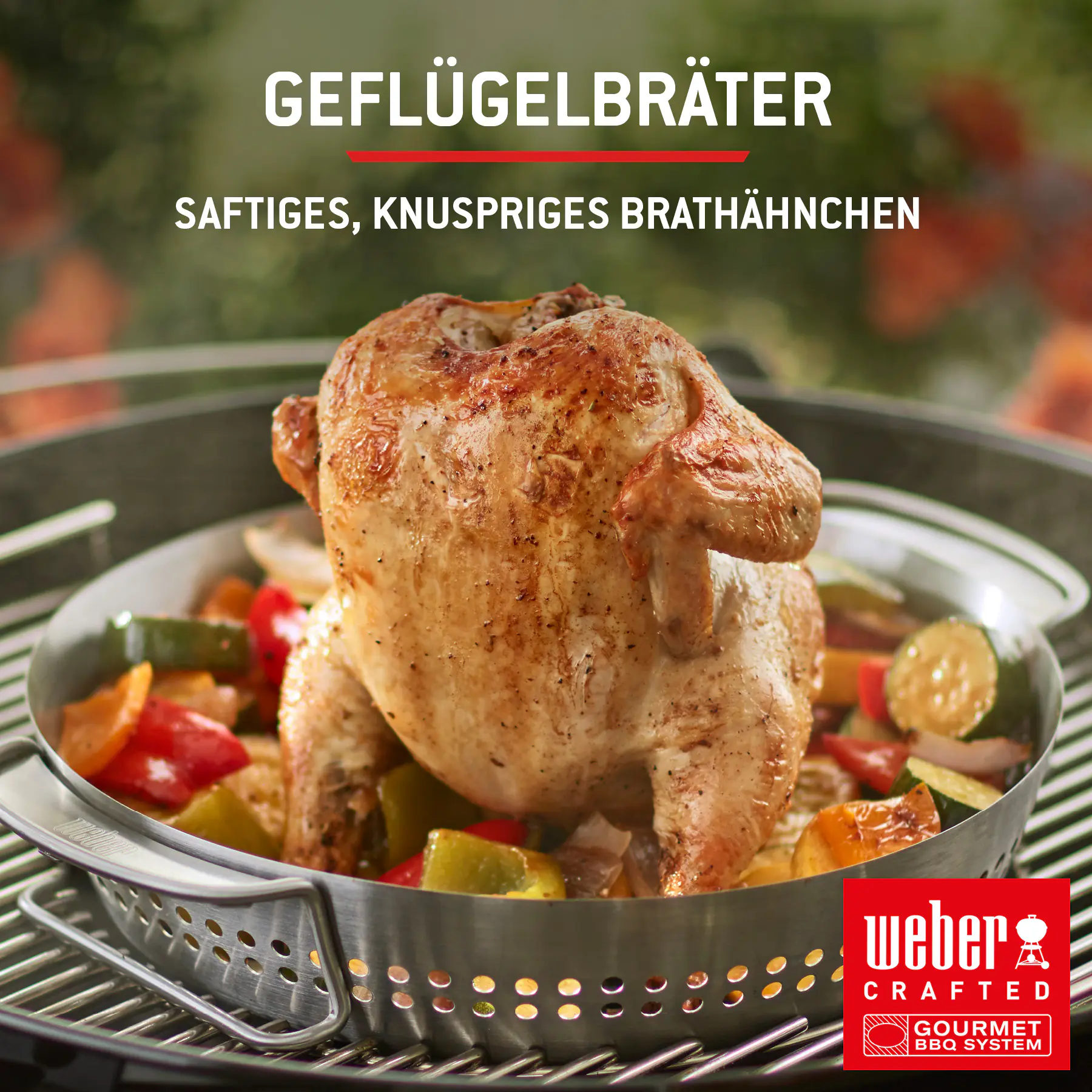 Weber Gasgrill Spirit E210 Grillfläche: 52 x 45 cm 