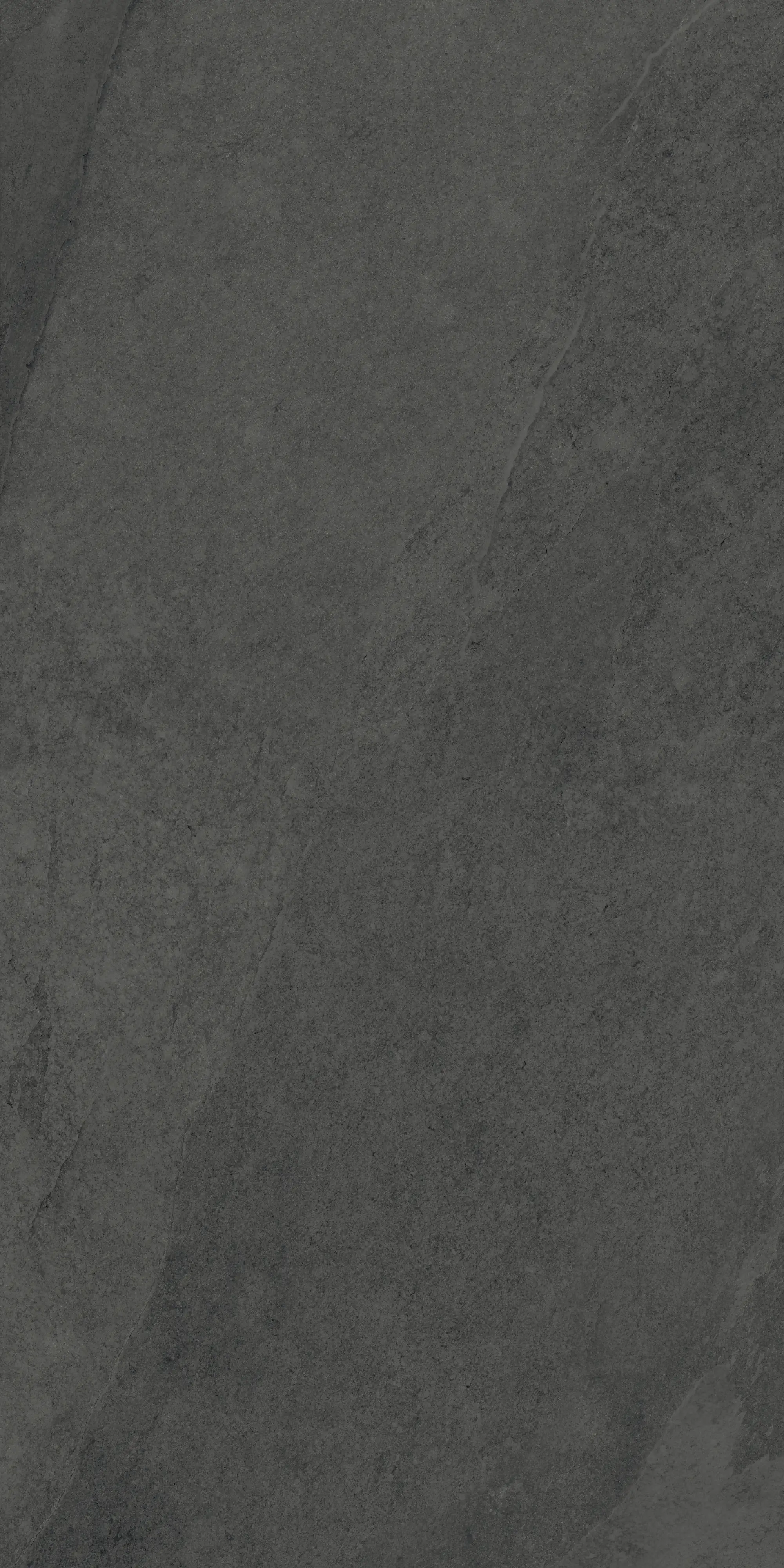 Terrassenplatte Feinsteinzeug Concept 60 x 120 x 2 cm antrazit