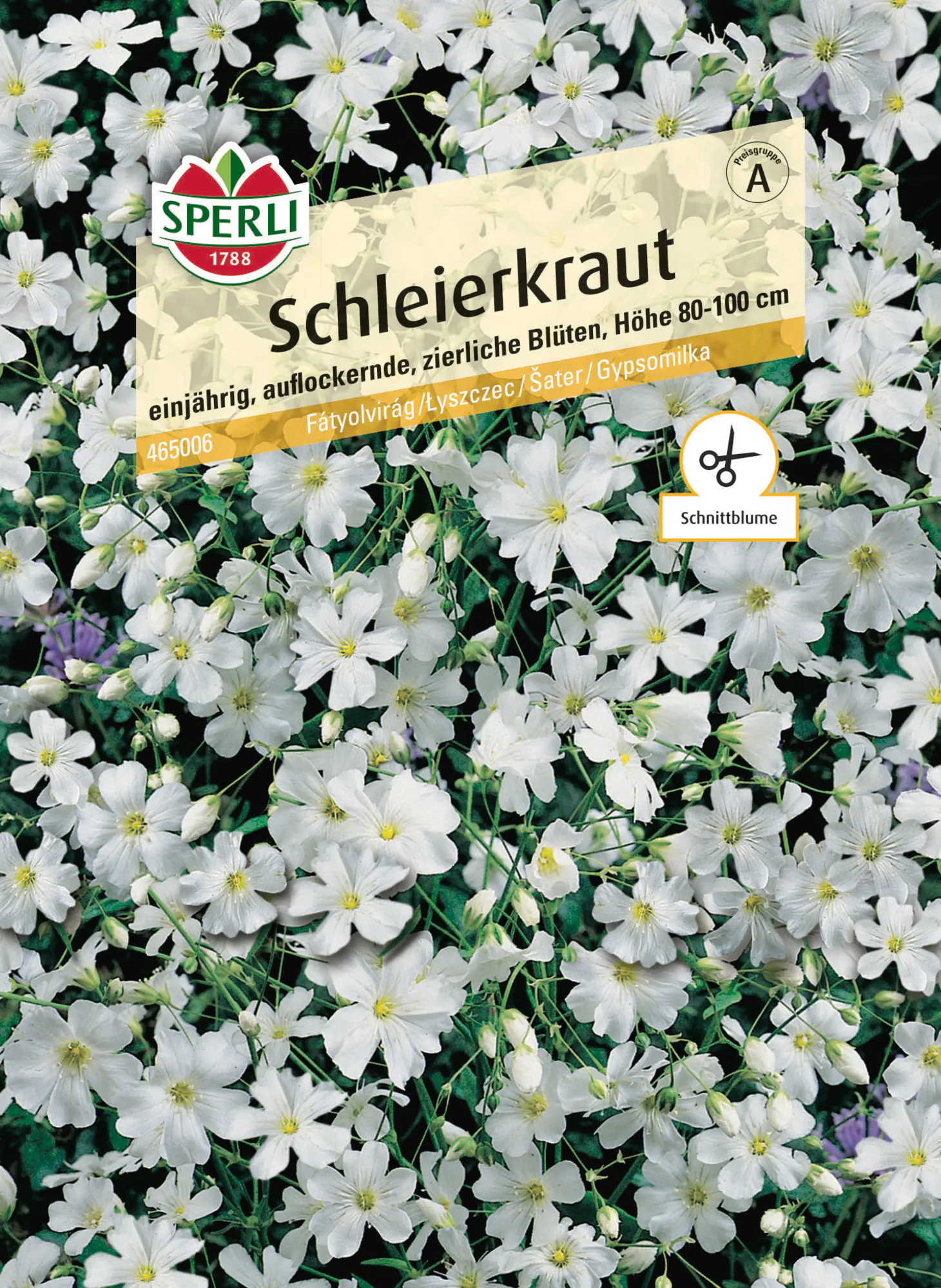 Sperli Saatgut Schleierkraut für ca. 120 Pflanzen