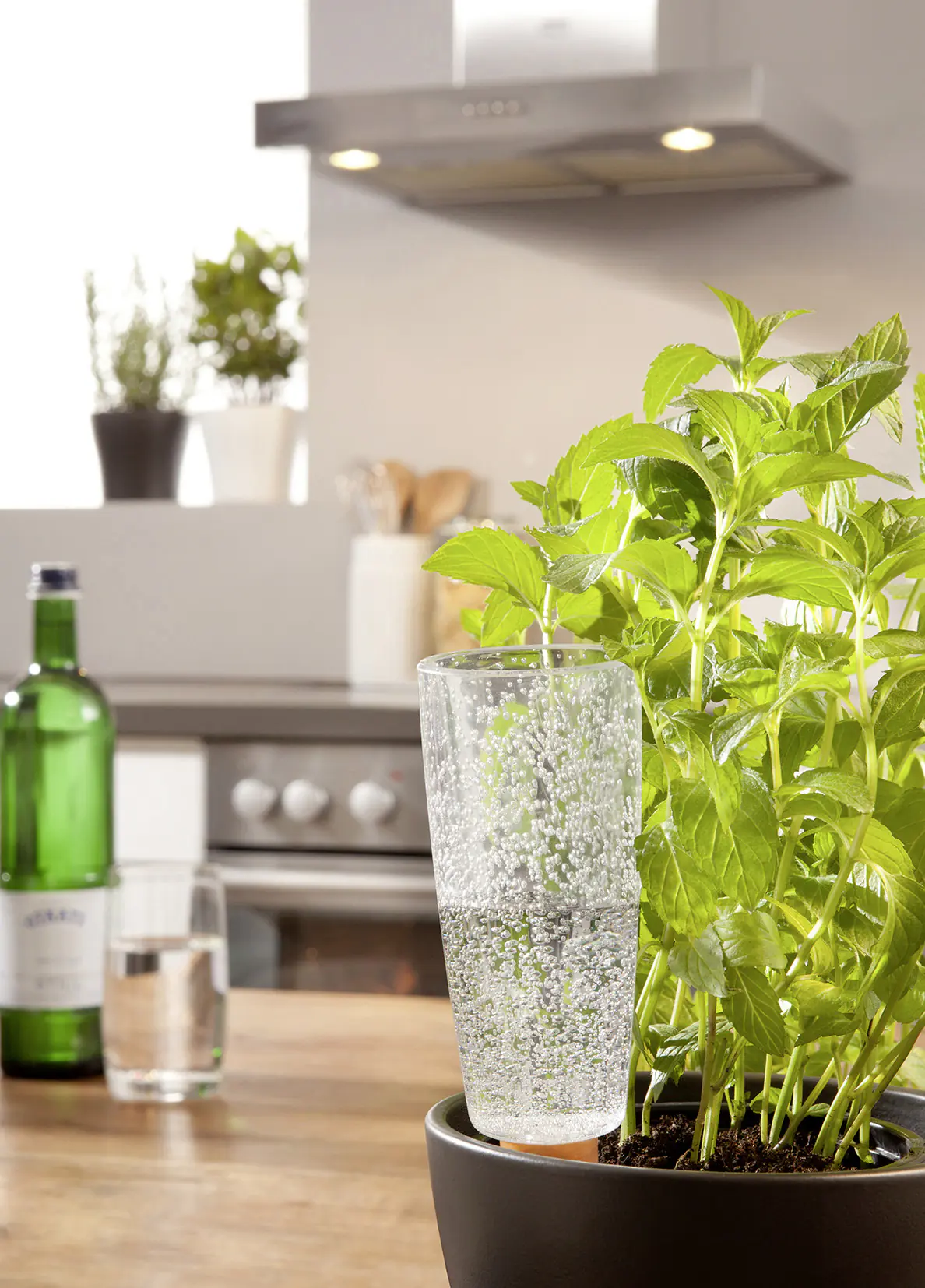 Scheurich Bewässerungshilfe Copa Serie 112 transparent 24 cm