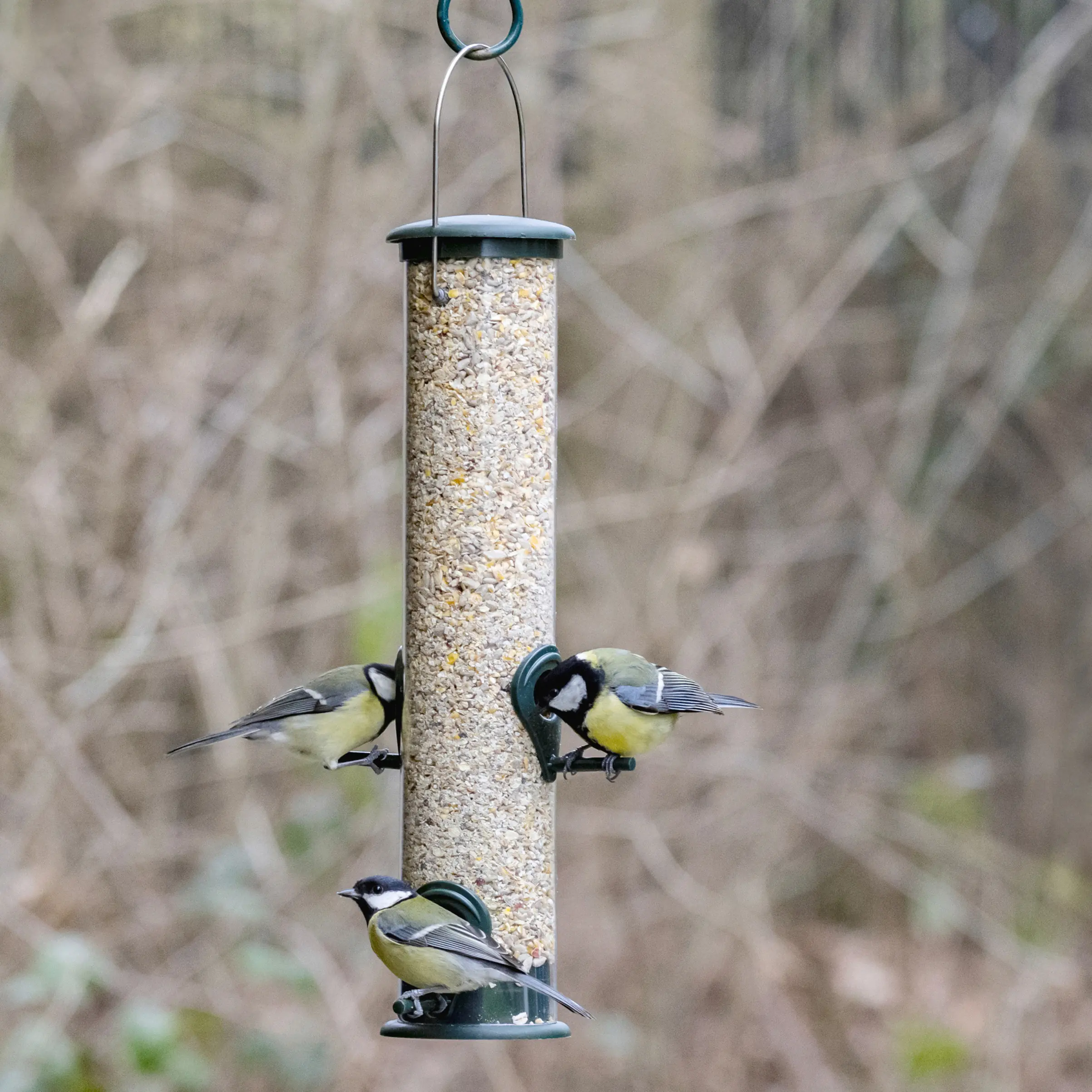 Futtersäule Kunststoff groß, grün Ø 16, Höhe 45 cm