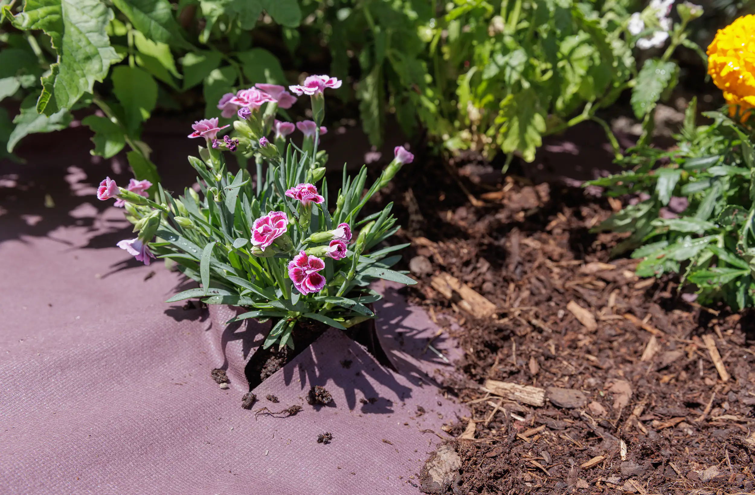 TrendLine Rindenmulchvlies 1,5 x 20 m